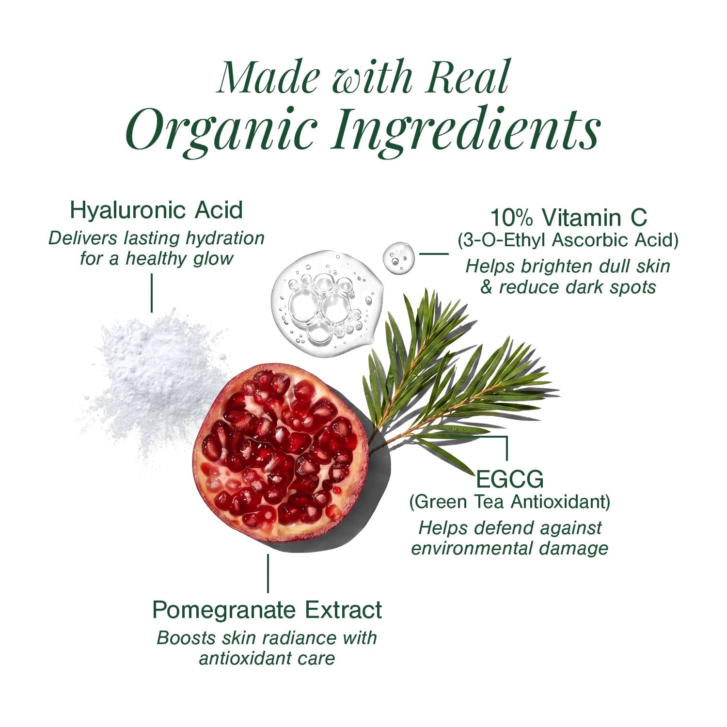 10% Vitamin C + EGCG Face Serum