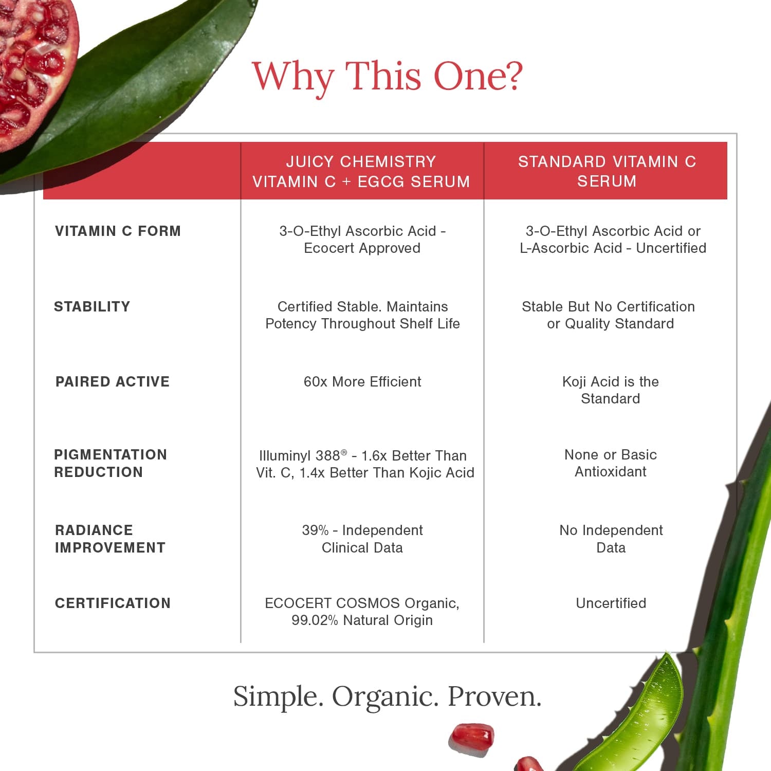 10% Vitamin C + EGCG Face Serum