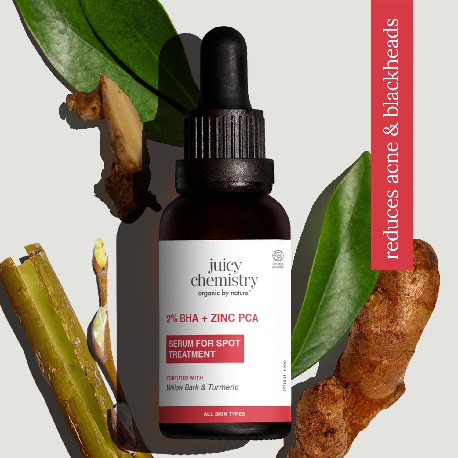 2% BHA + Zinc PCA Face Serum