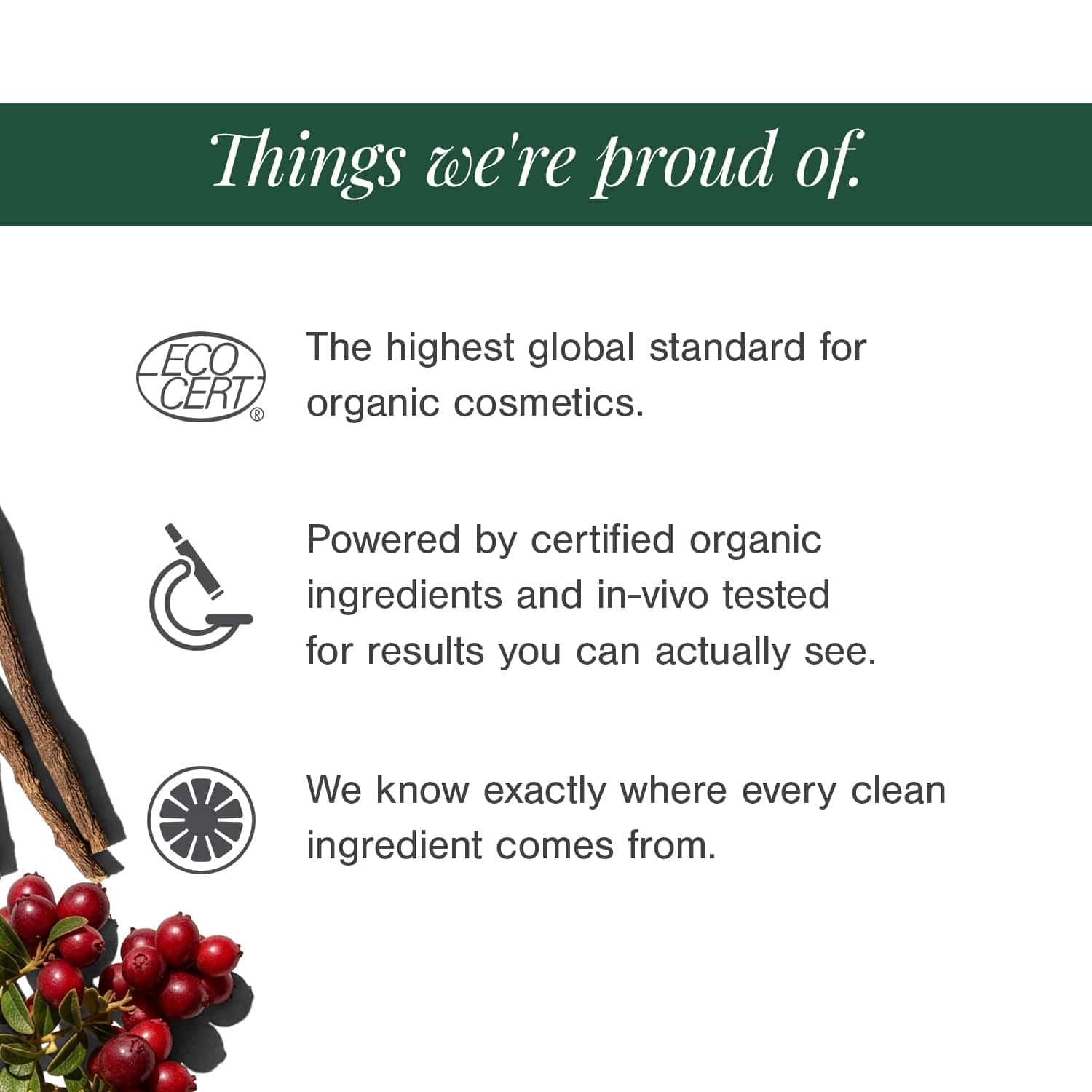 2% Alpha Arbutin + D-Gallic Acid Natural Face Serum
