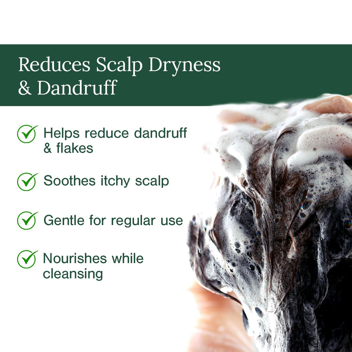 Anti-Dandruff Combo | Organic Anti-Dandruff Shampoo + 8% AHA +2% BHA Multi Use Exfoliating Toner