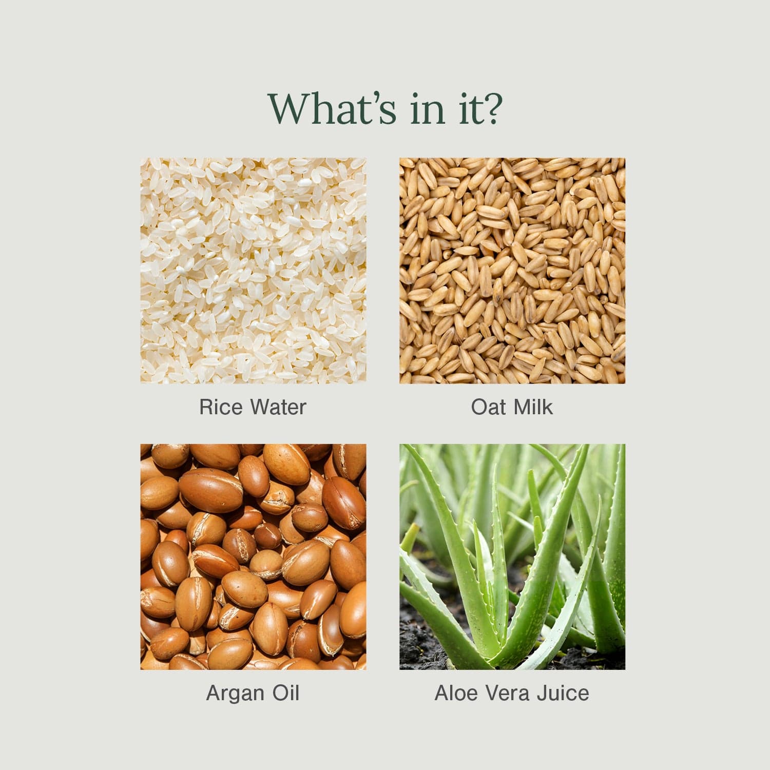 Certified Organic Moisturising Daily Use Shampoo Fortified with Rice Water + Oat Milk