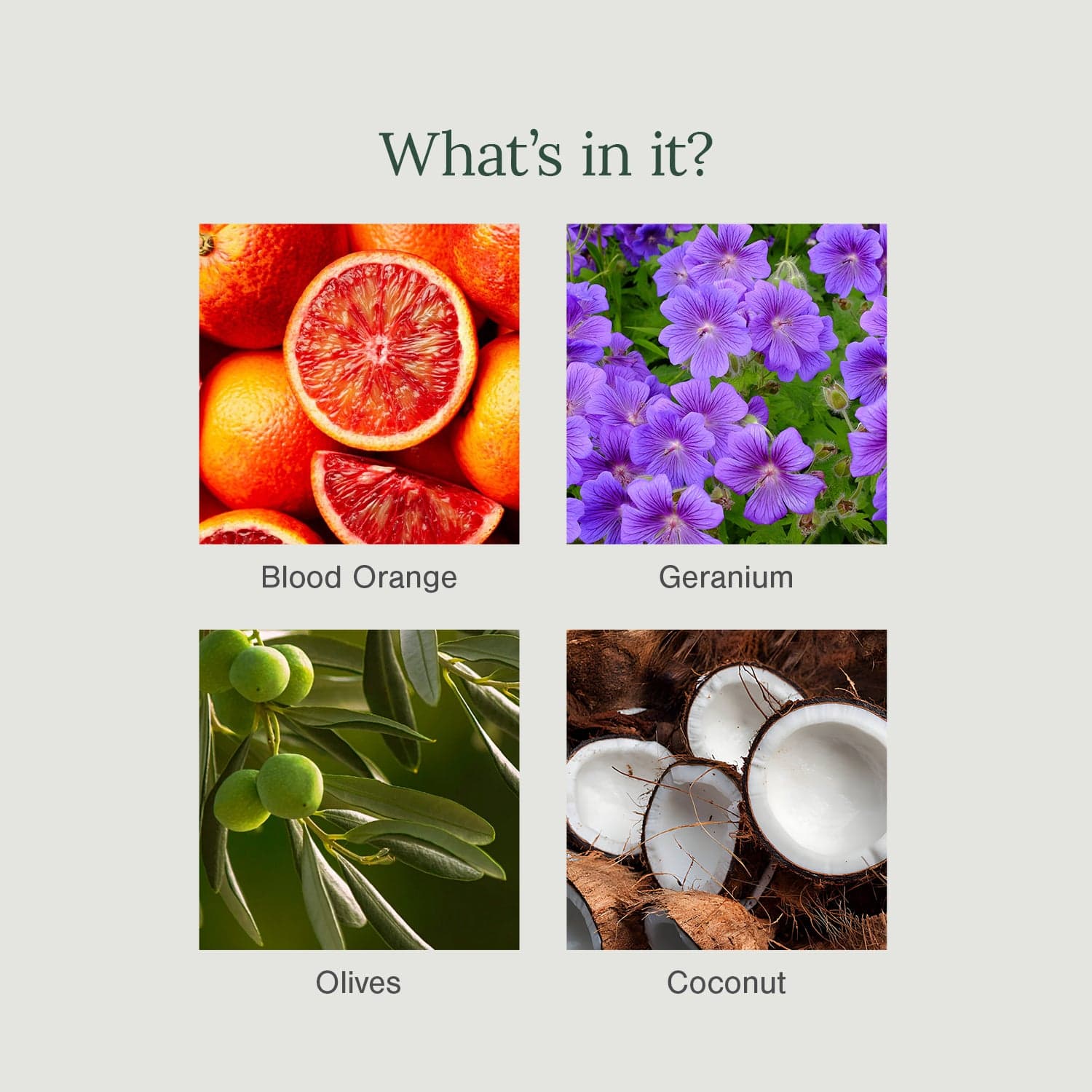 Organic Body Wash Fortified with Blood Orange + Geranium