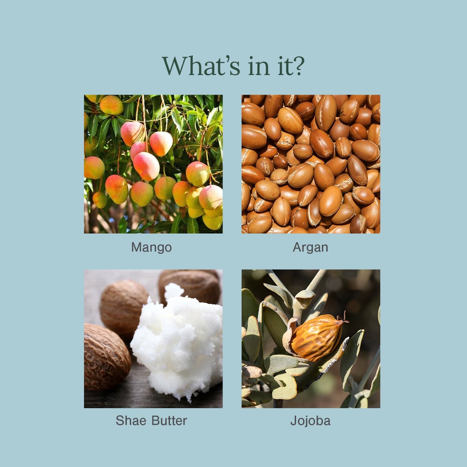 Organic Body Moisturiser Fortified with Mango Butter + Argan