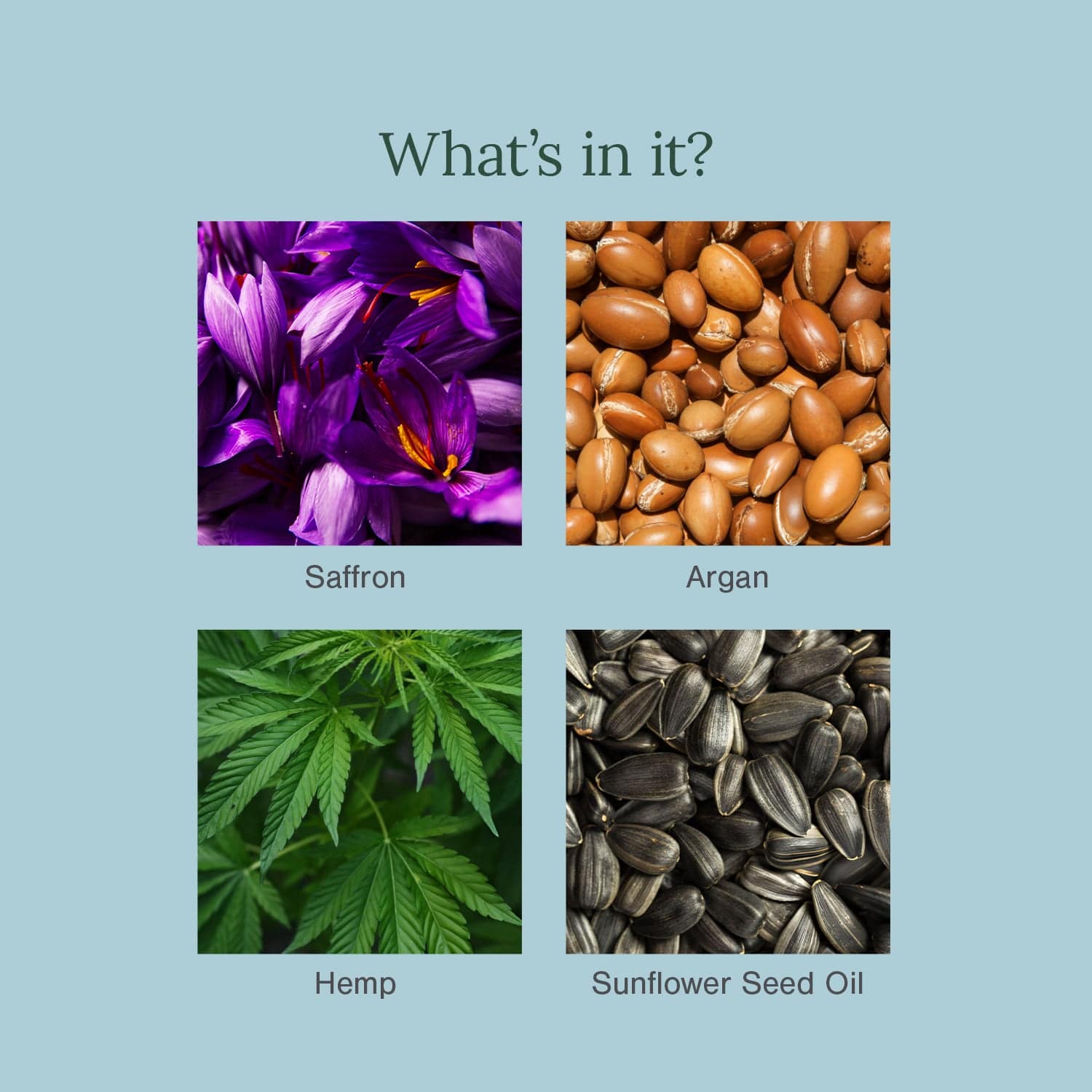 Organic Illuminating Facial Oil Fortified with Saffron + Argan