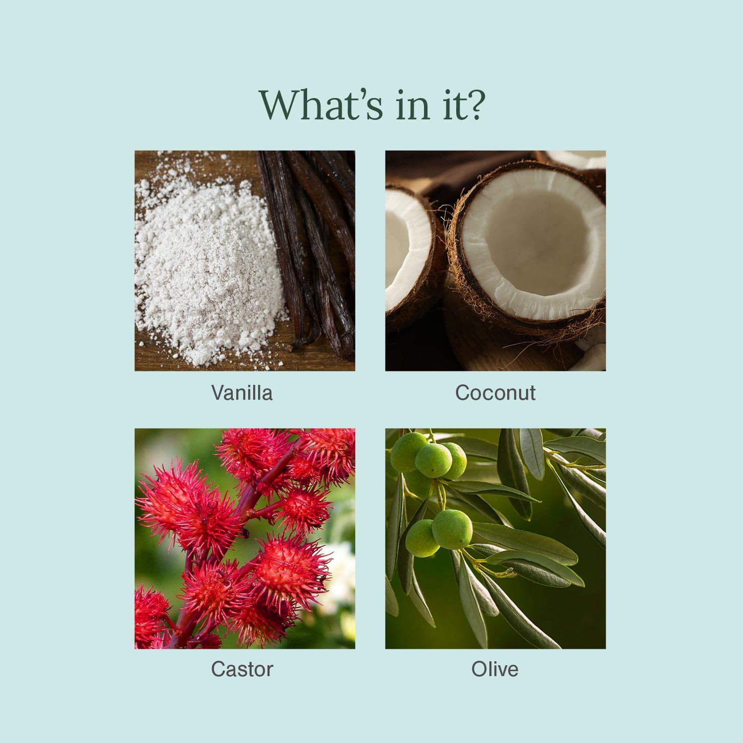 Ultra Moisturising & Luxury Organic Soap