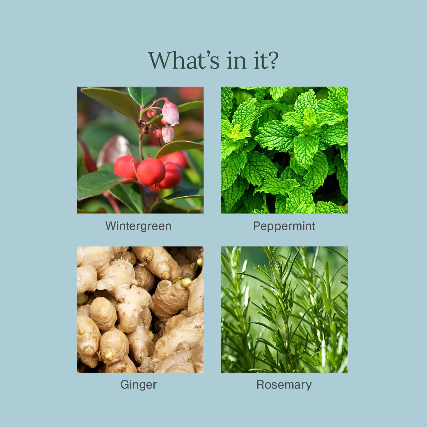 Intense Repair Foot Balm Fortified with Wintergreen + Peppermint