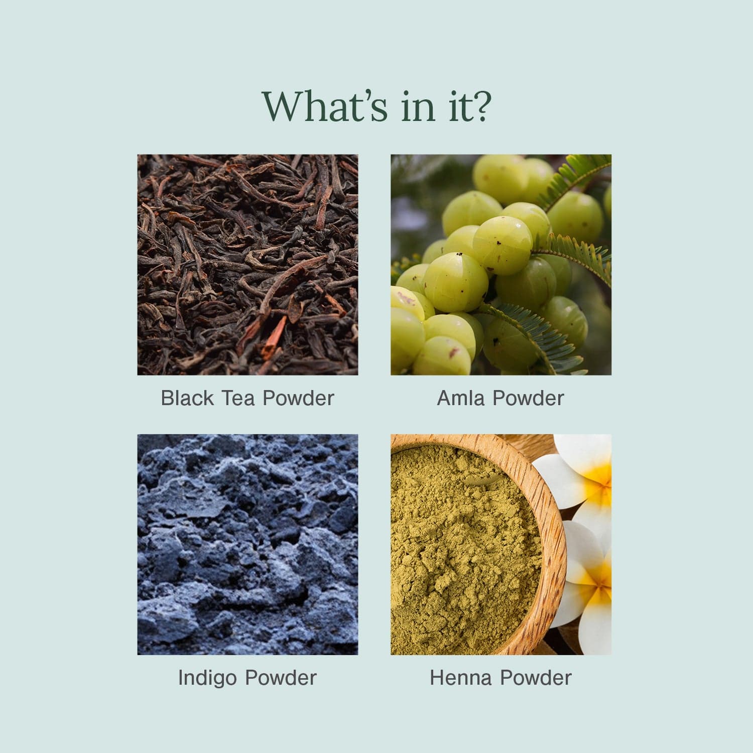 Organic Deep Black Hair Colour Fortified with Henna + Amla