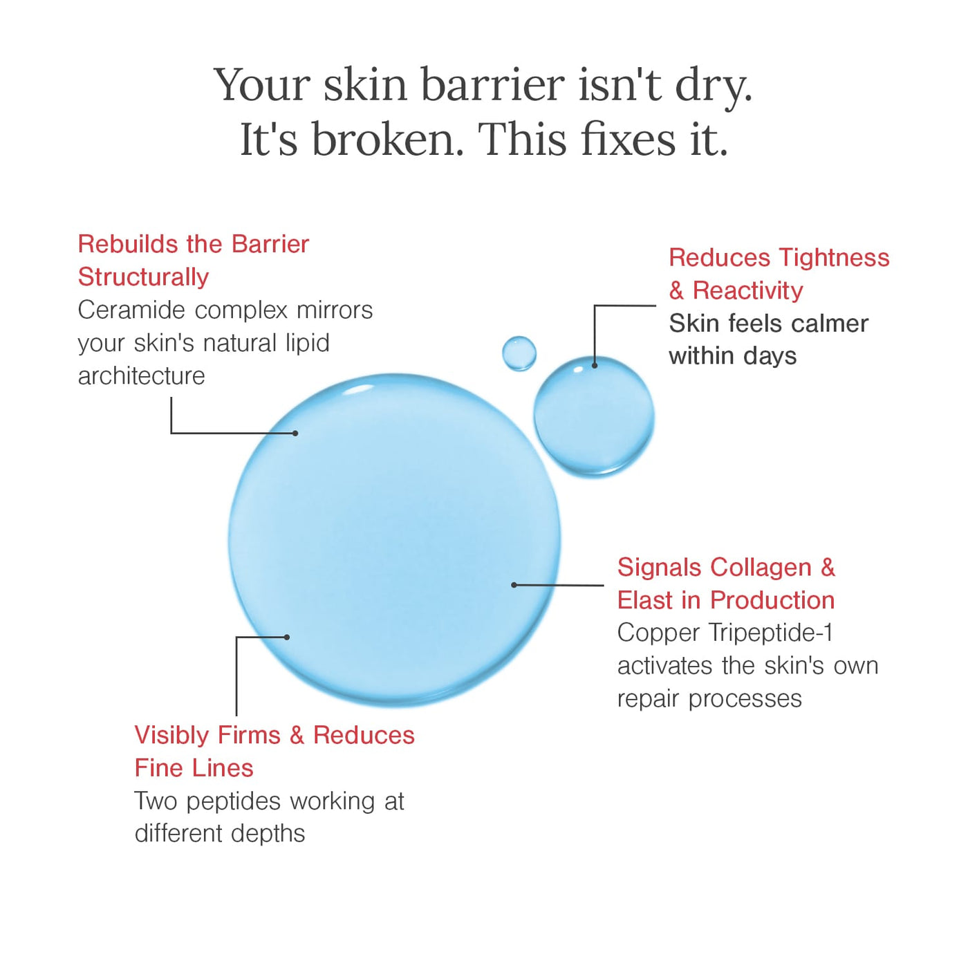 3% Ceramide Complex + Copper Peptide Face Serum image 4