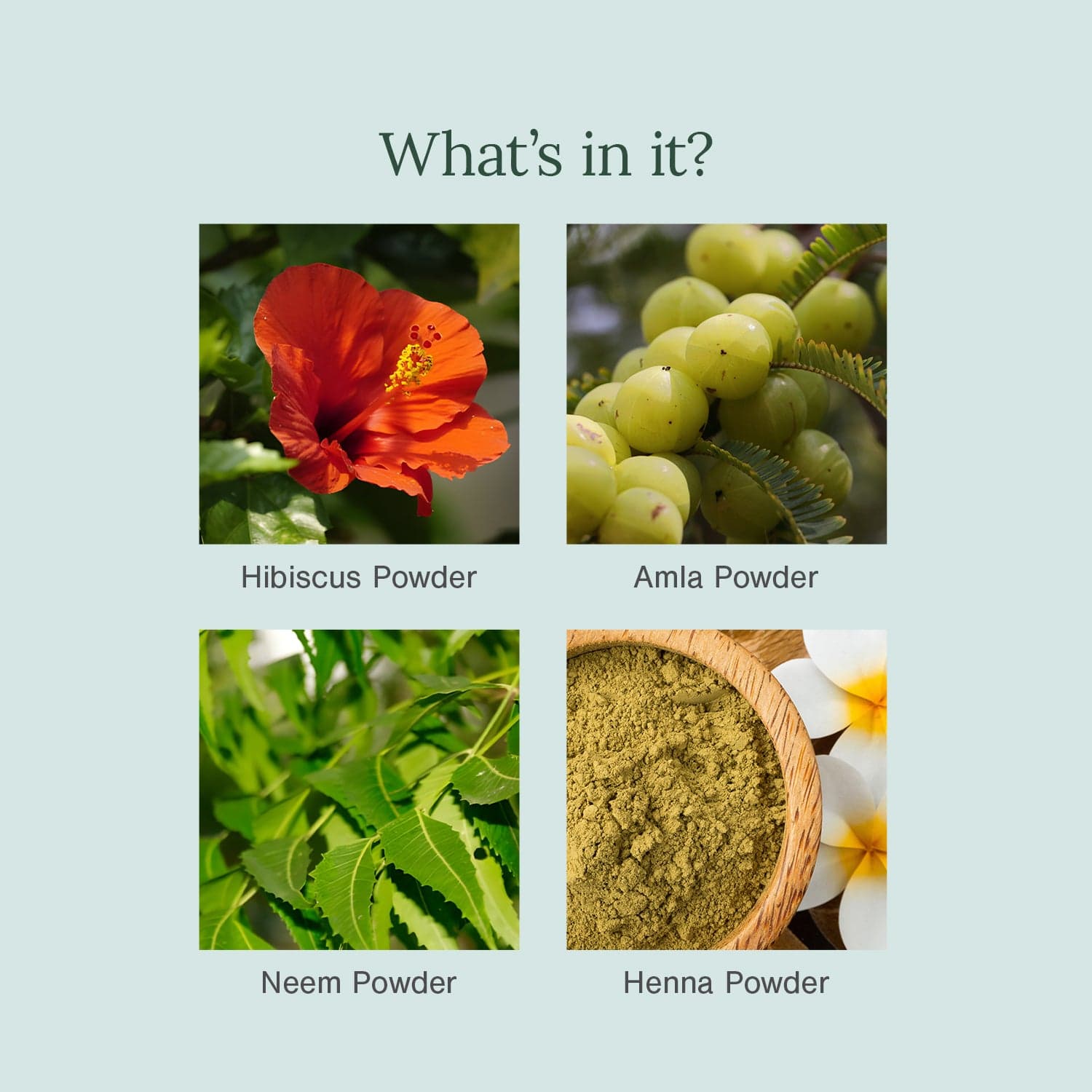 Organic Burgundy Hair Colour Fortified with Henna + Amla