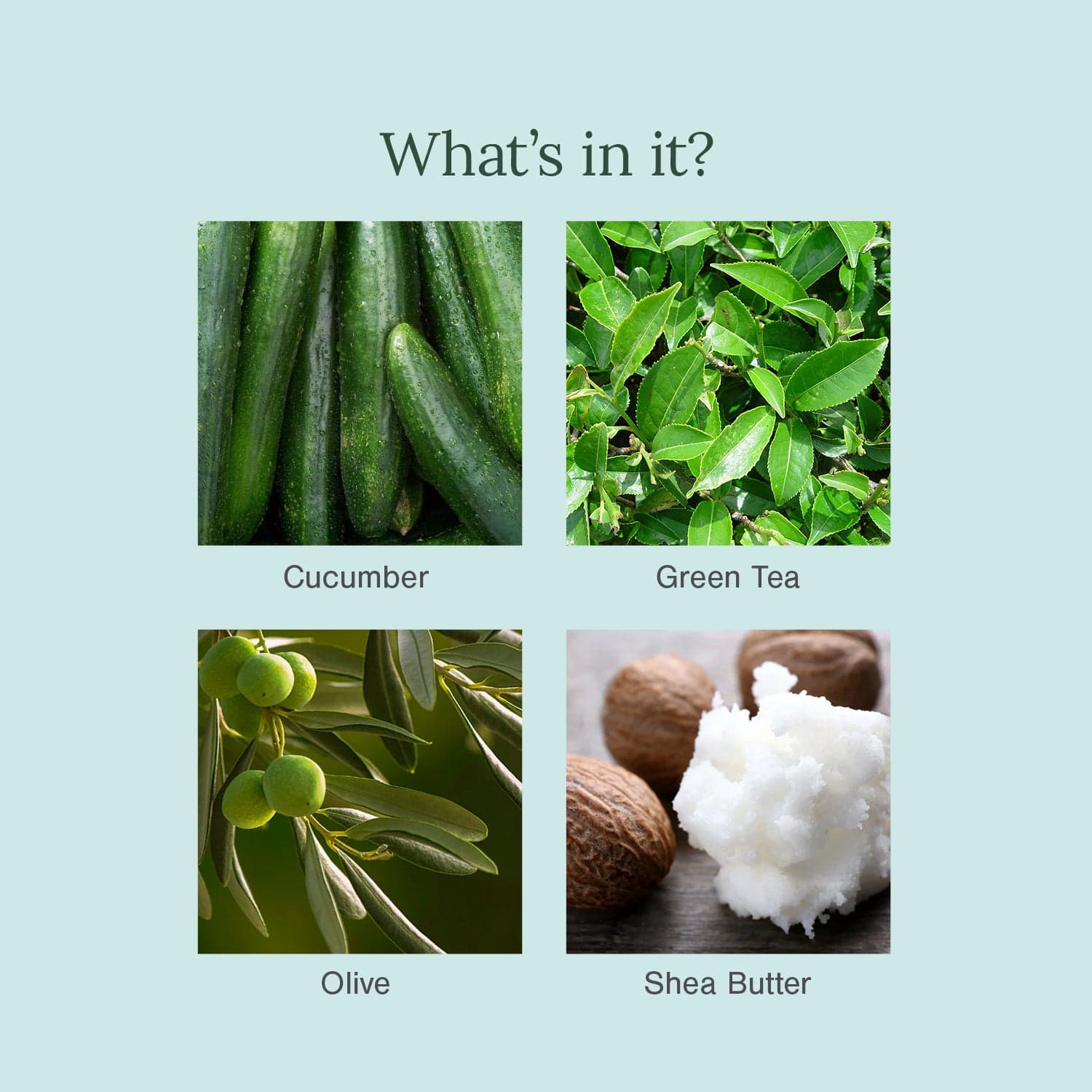 Ultra Moisturising & Luxury Organic Soap