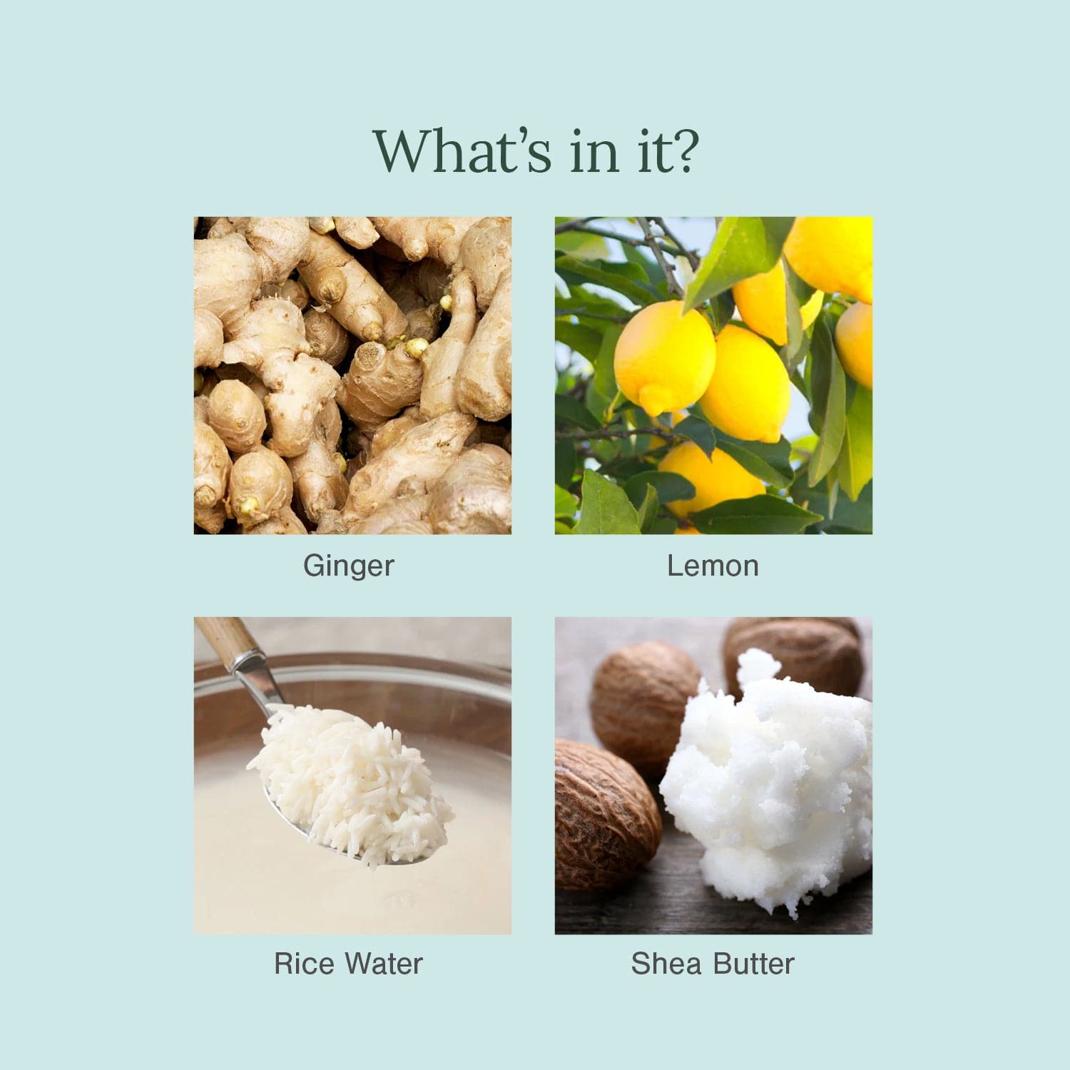 Ultra Moisturising & Luxury Organic Soap