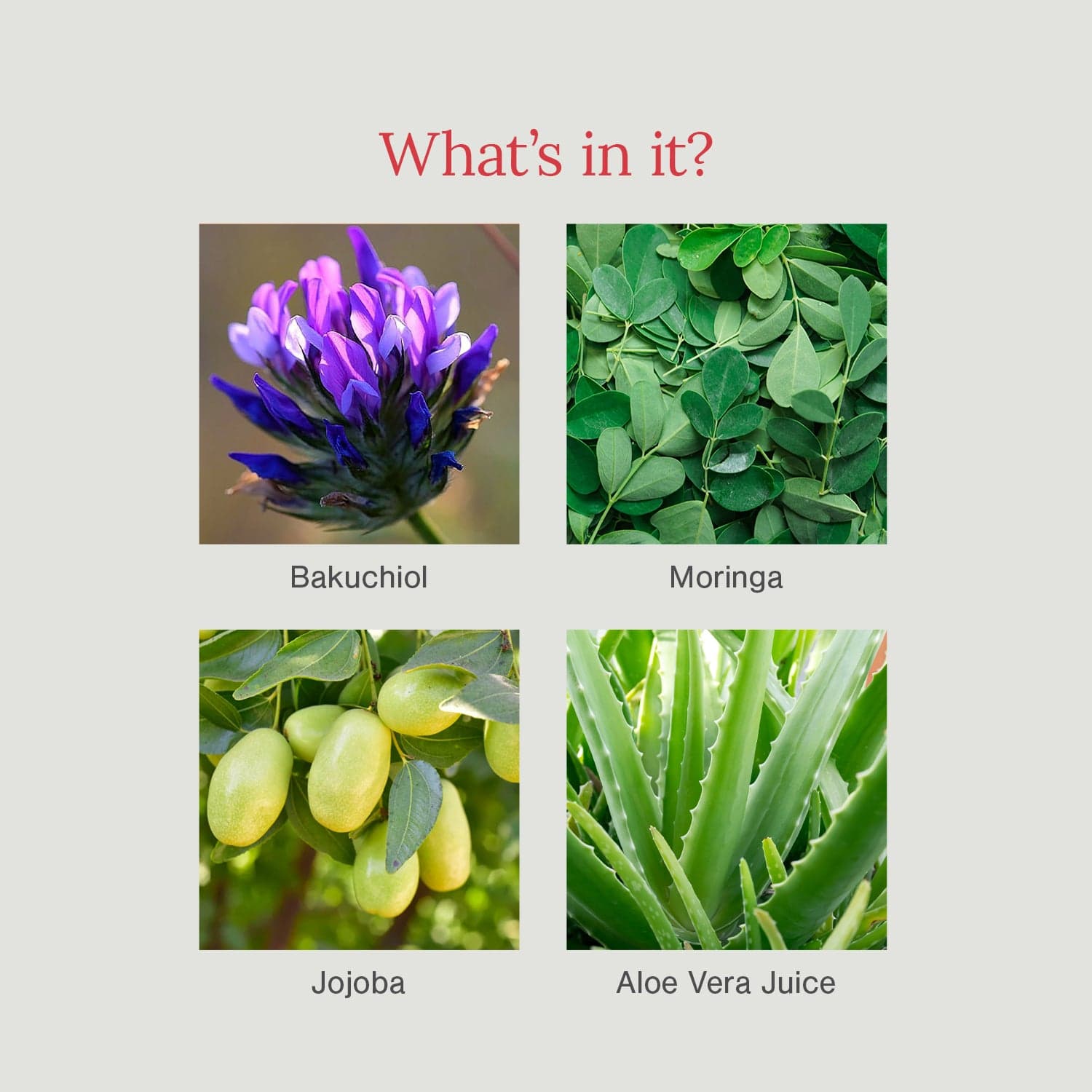 Phyto-retinol Advanced Serum Moisturiser