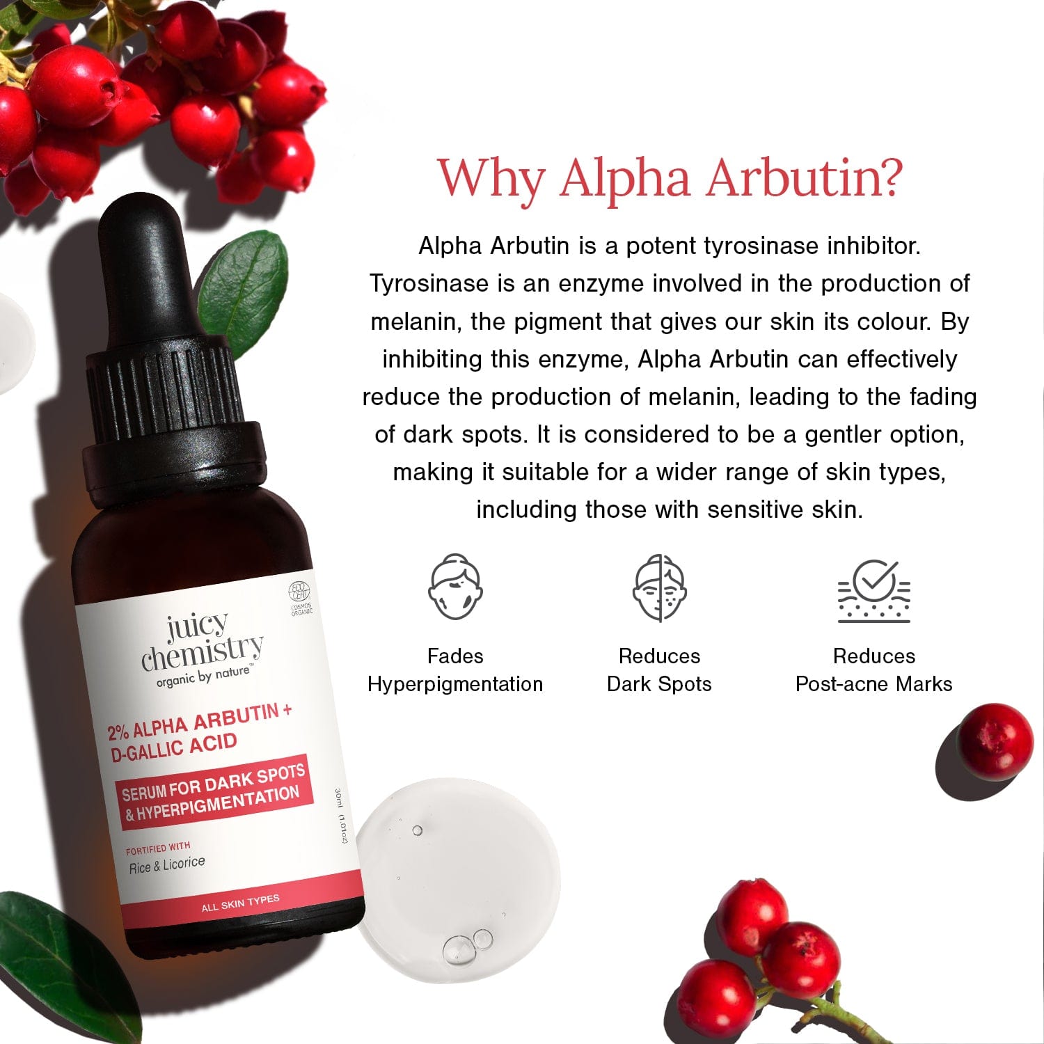 2% Alpha Arbutin + D-Gallic Acid Face Serum