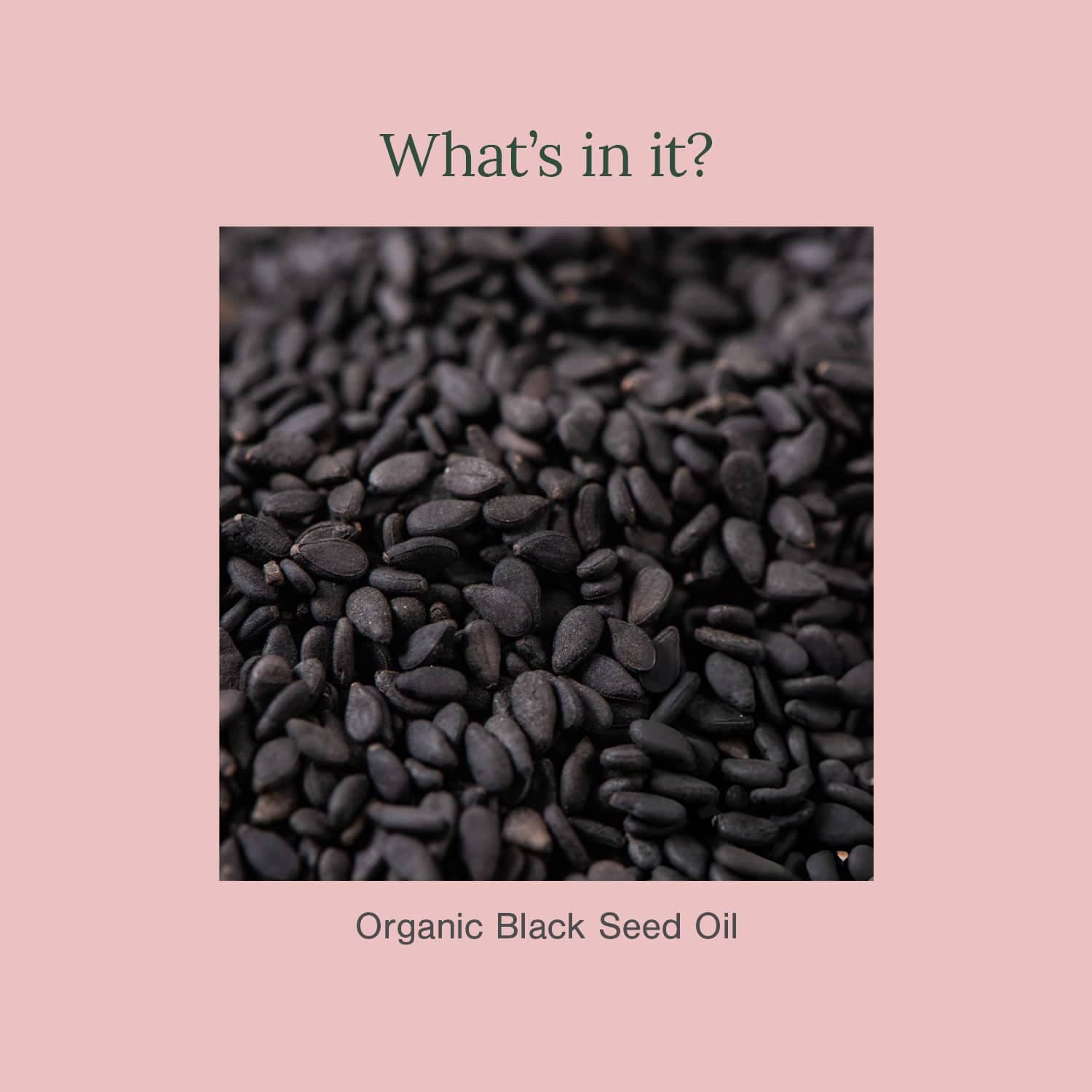 Organic Black Seed (Kalonji Oil)