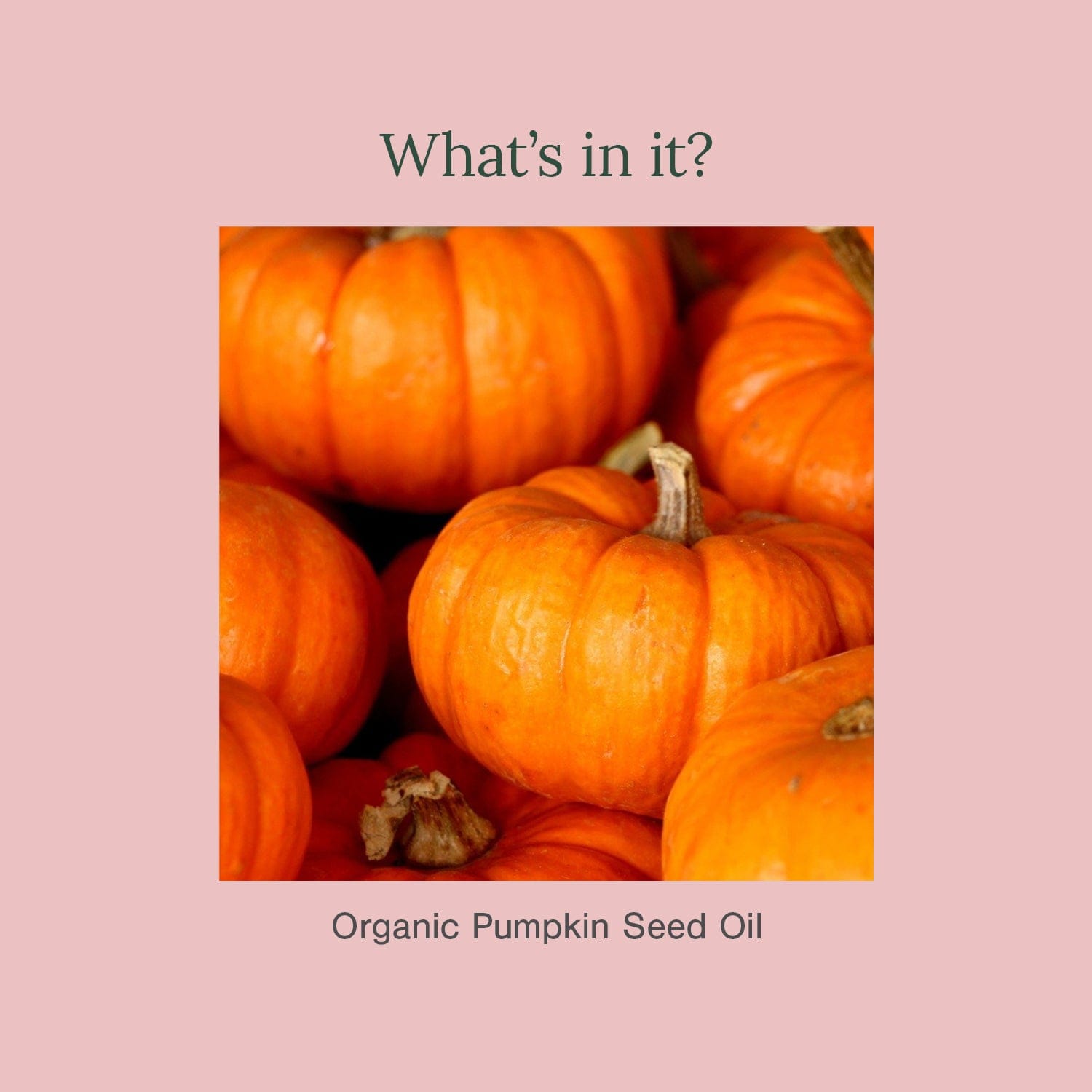 Organic Pumpkin Seed Oil
