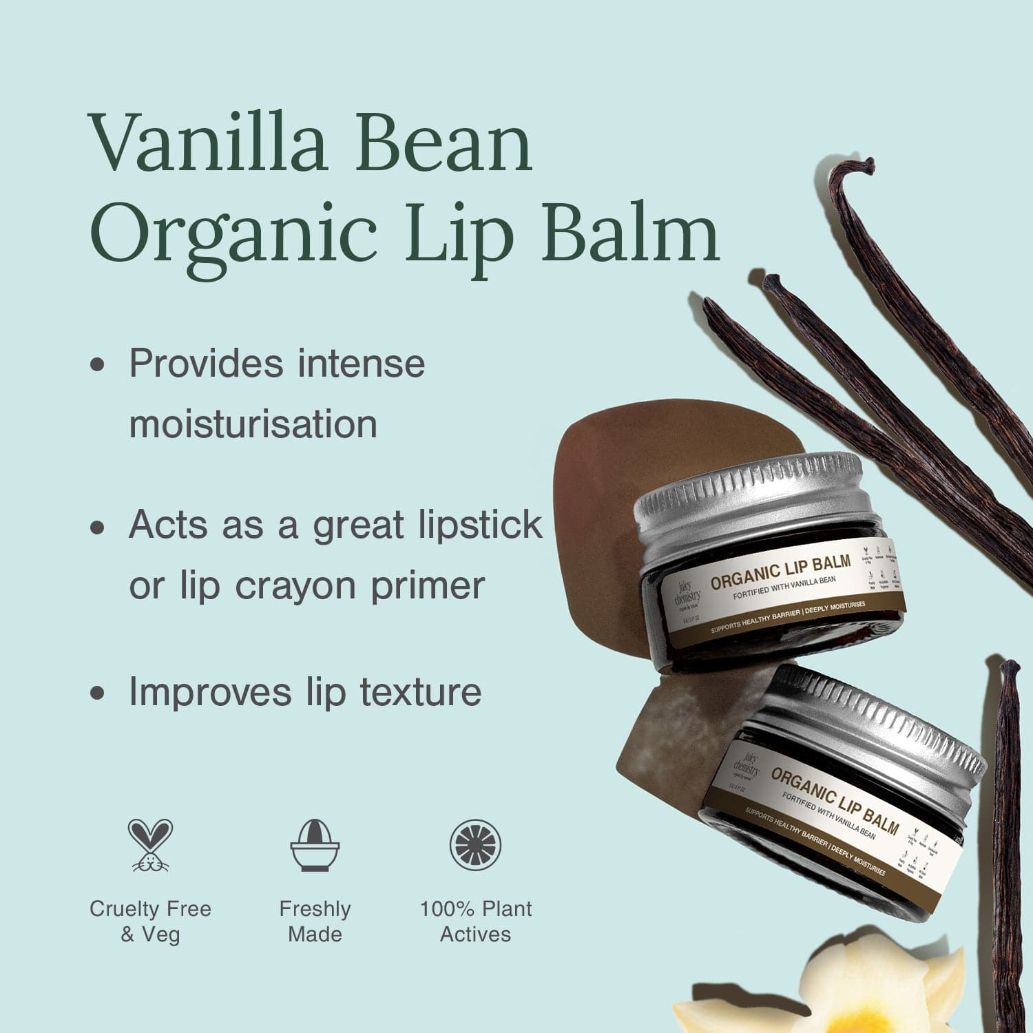 Vanilla Bean Organic Lip Balm