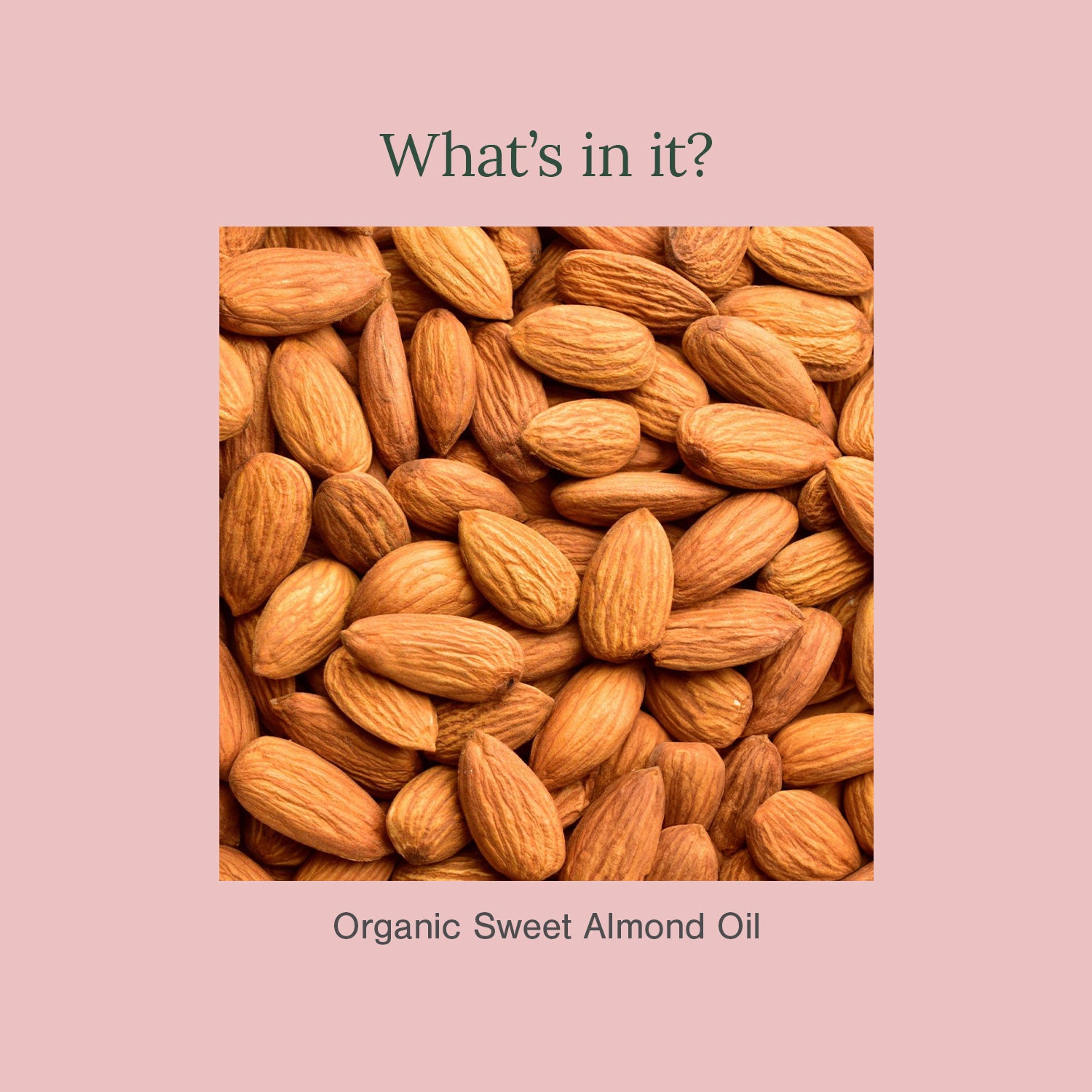 Cold Pressed Sweet Almond Carrier Oil