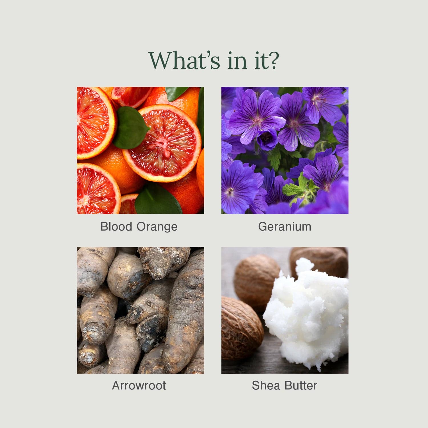 Organic Deodorant Stick Fortified with Blood Orange + Geranium