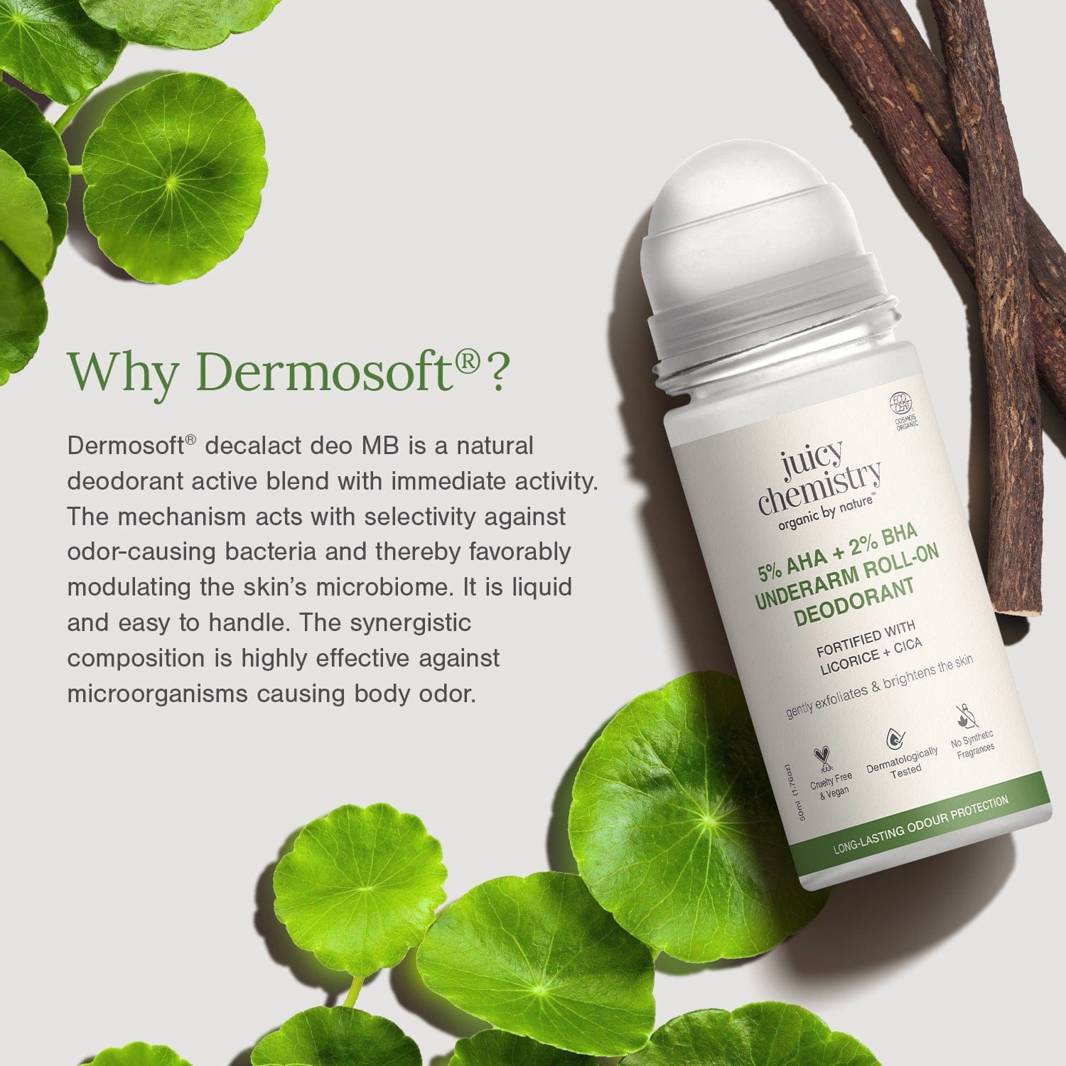 5% AHA + 2% BHA Underarm Roll-on Deodorant Fortified with Vanilla + Witch Hazel