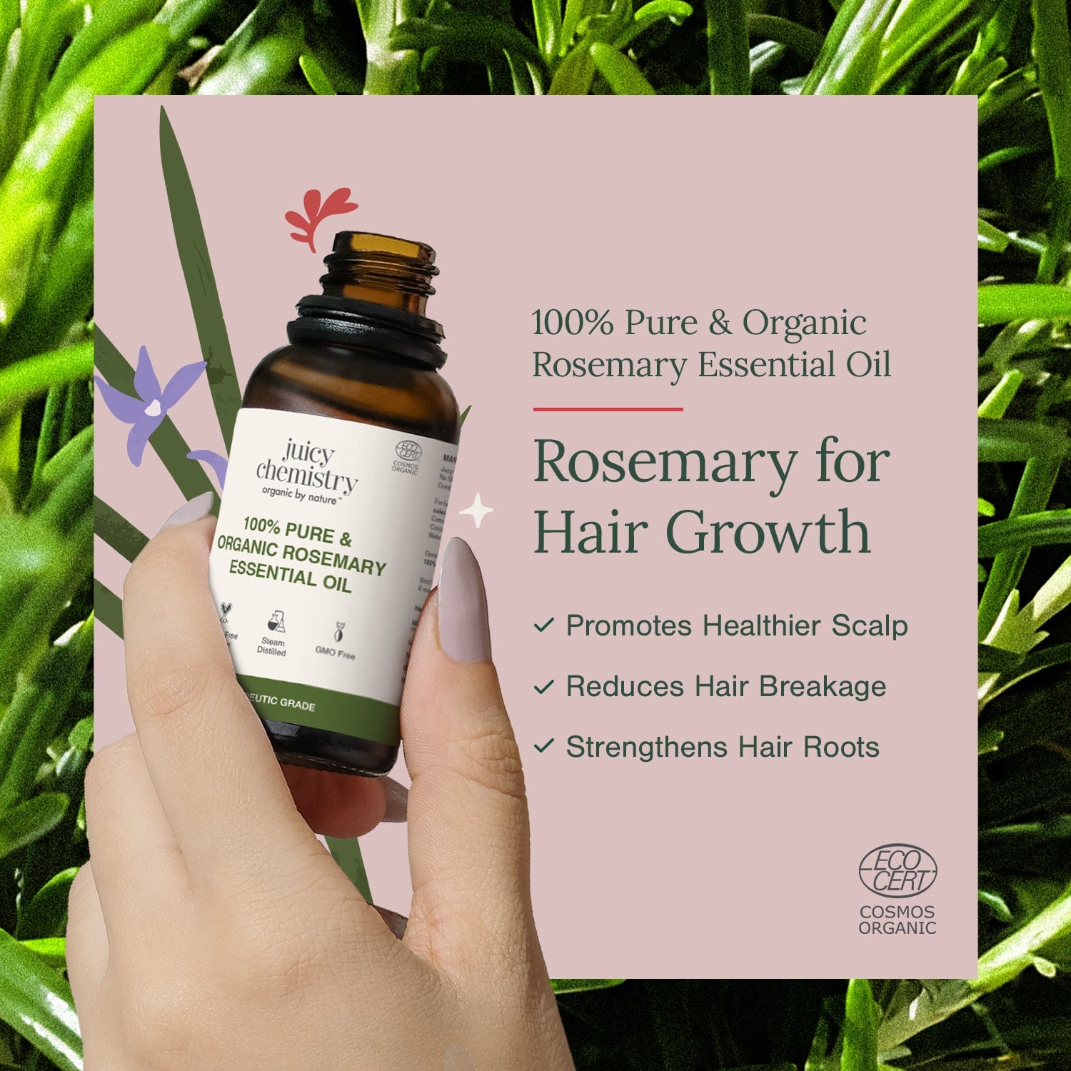 Certified Organic Rosemary Essential Oil