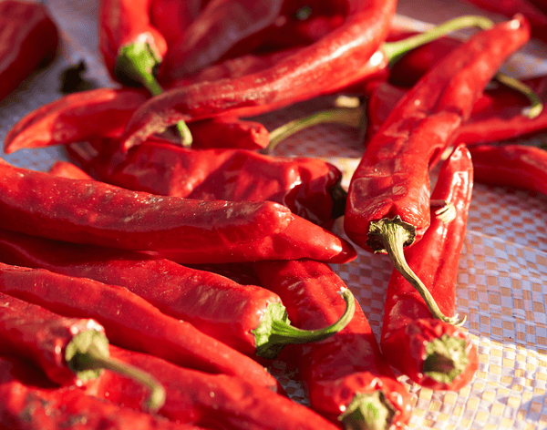 Chilli Seed Oil