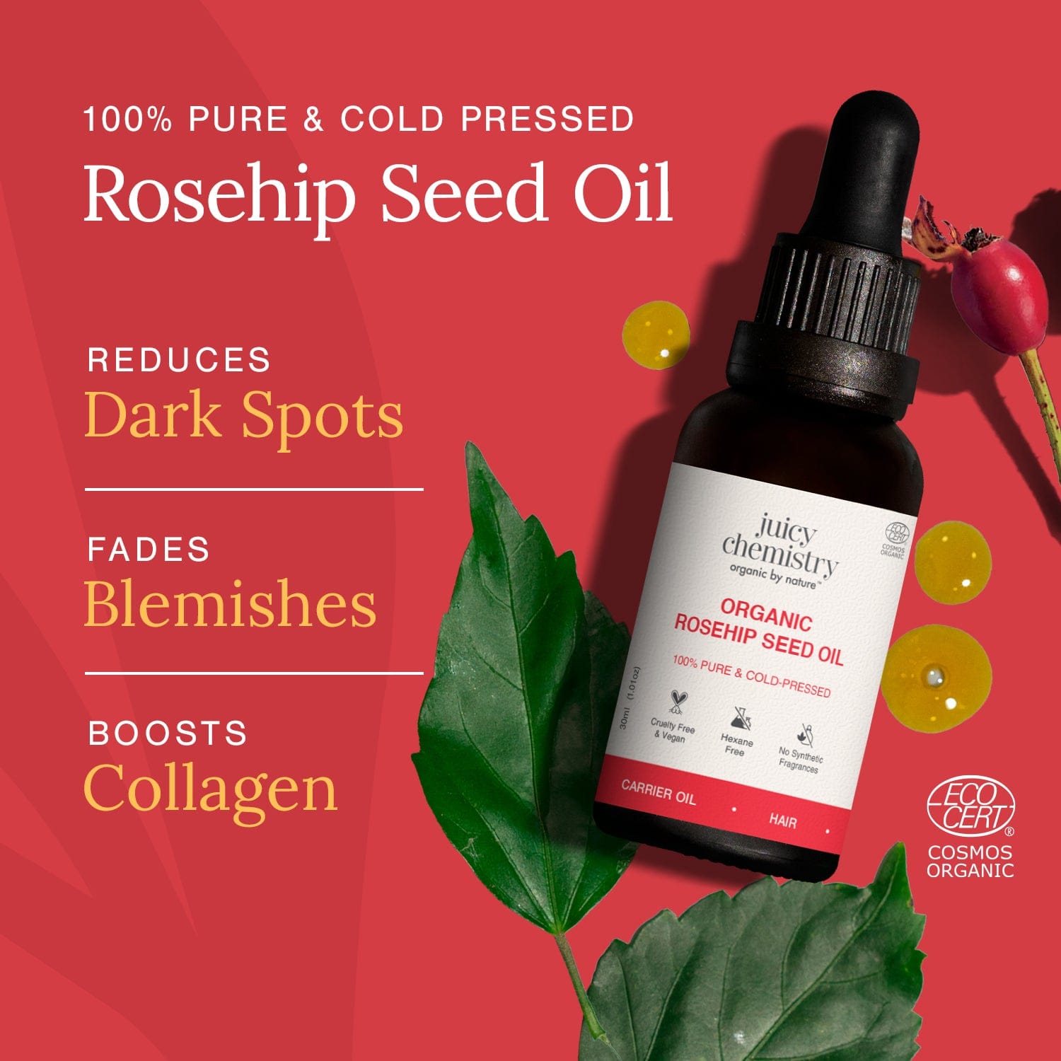 Organic Rosehip Seed Oil