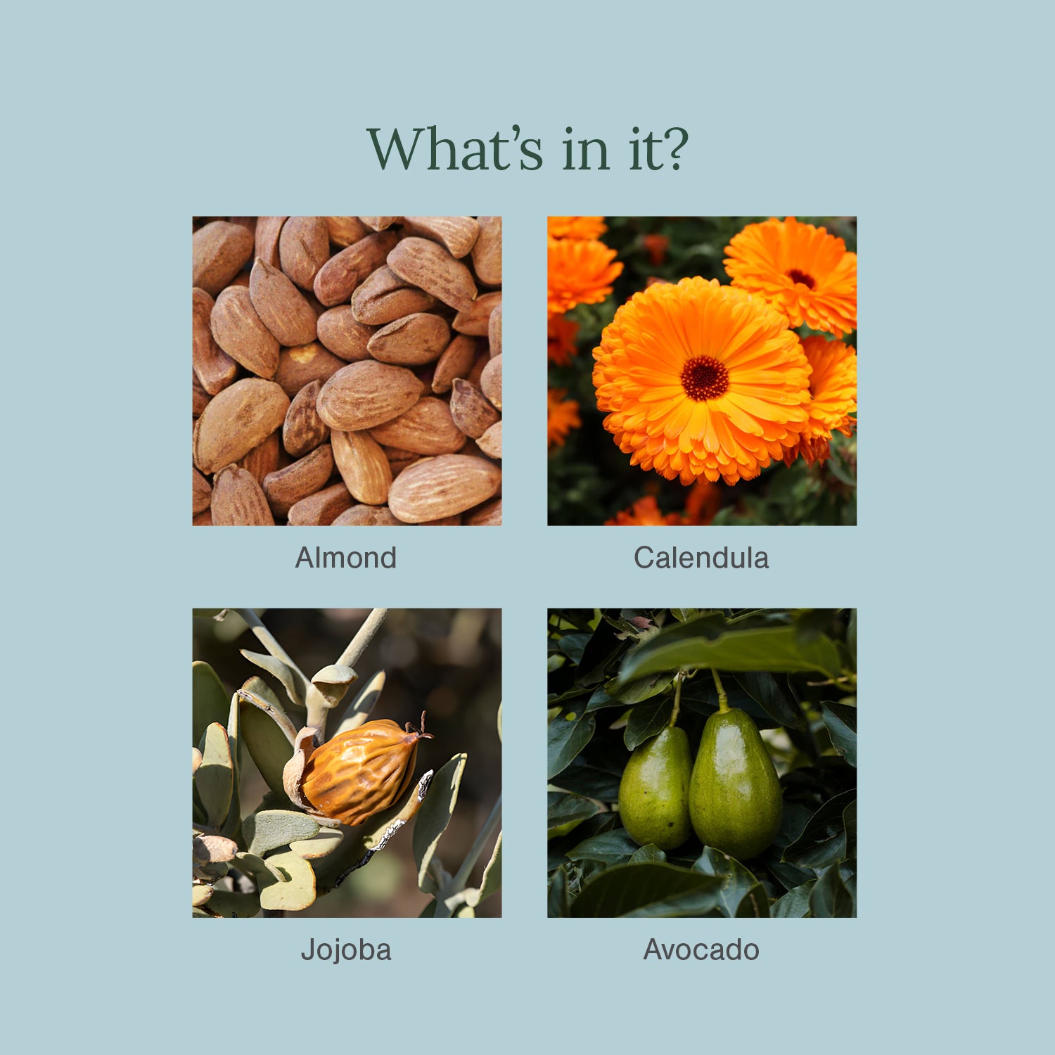 Almond, Calendula and Vitamin E Massage Oil