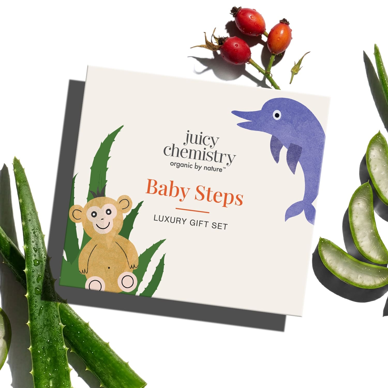 Juicy Chemistry Baby Steps Gift Box