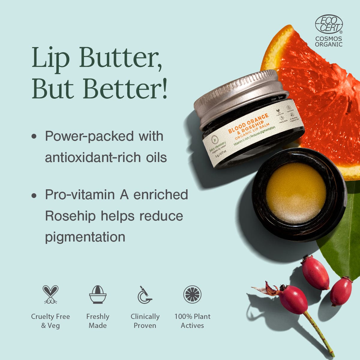 Blood Orange Rosehip Organic Lip Balm - Product Benefits