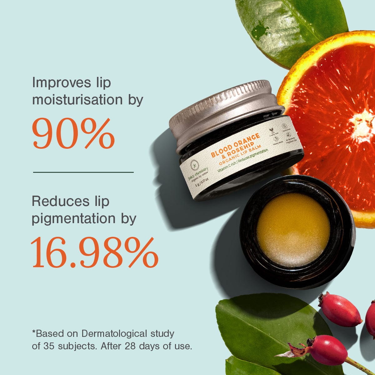 Blood Orange Rosehip Organic Lip Balm - Stats of Improvement