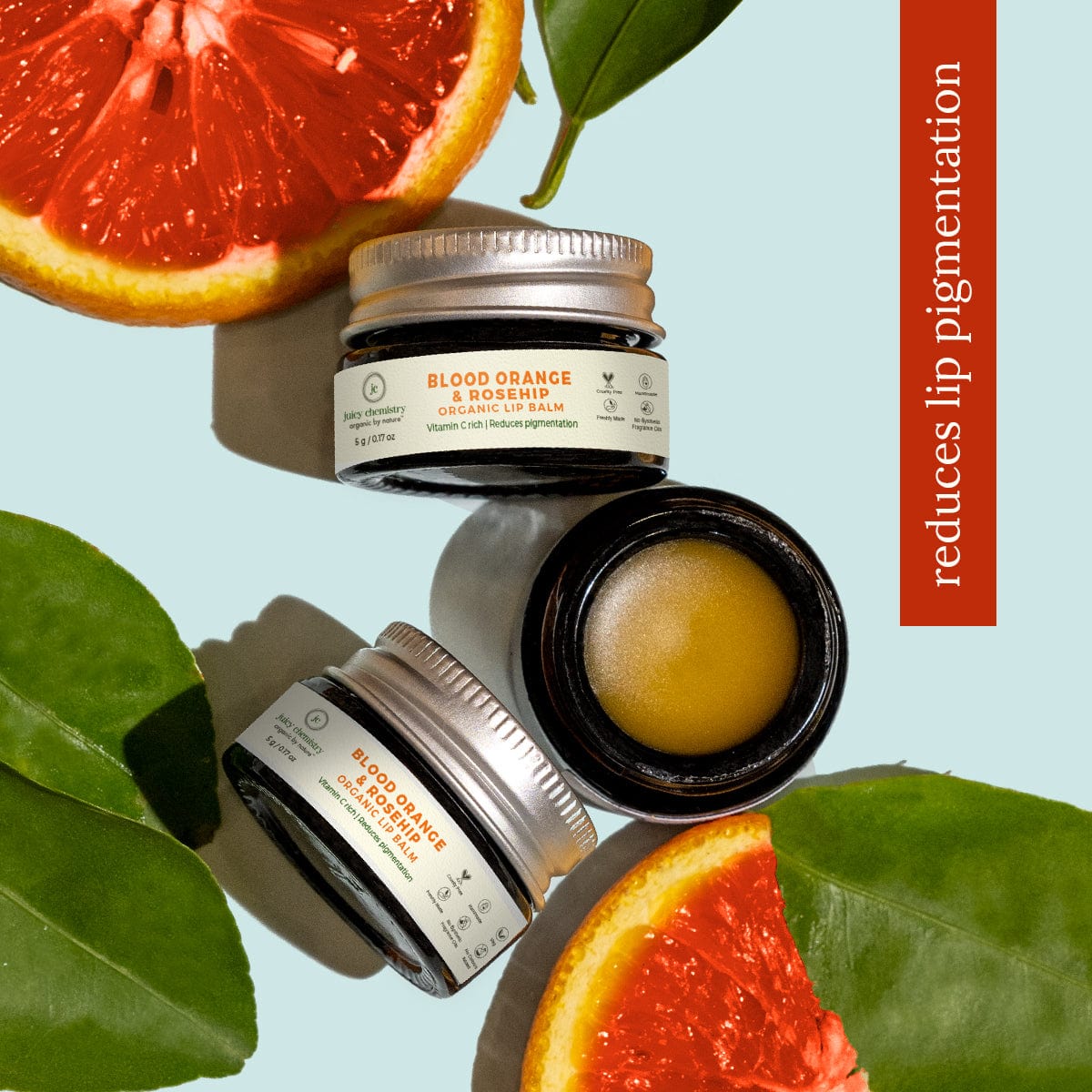 Blood Orange Rosehip Organic Lip Balm