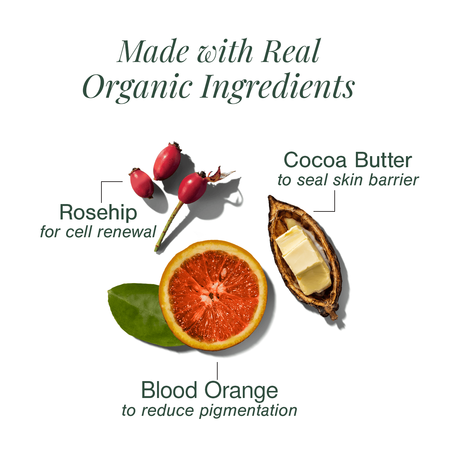 Organic Lip Balm Fortified with Blood Orange + Rosehip
