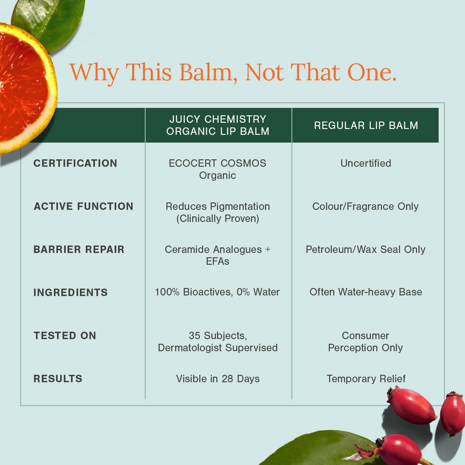 Organic Lip Balm Fortified with Blood Orange + Rosehip