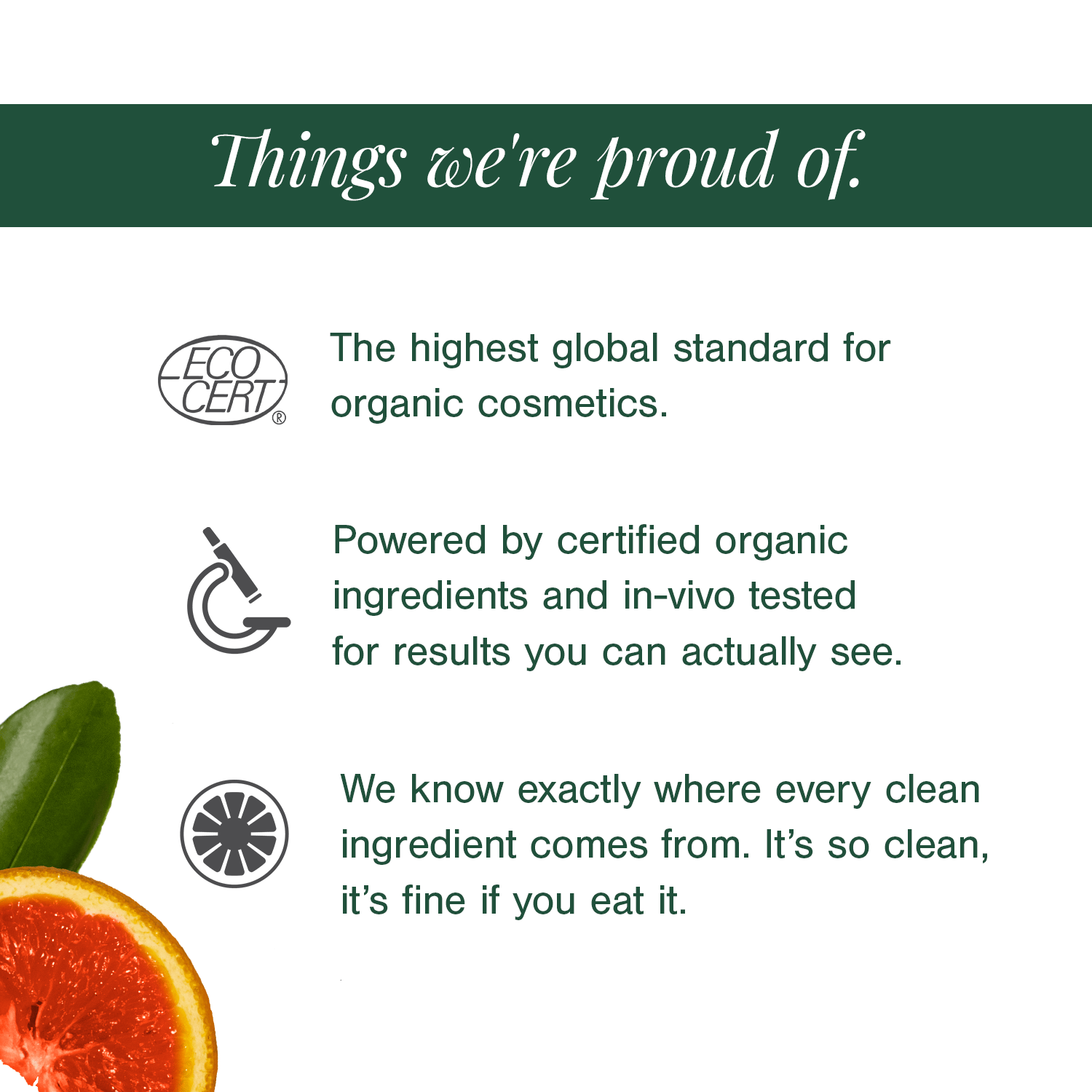Organic Lip Balm Fortified with Blood Orange + Rosehip