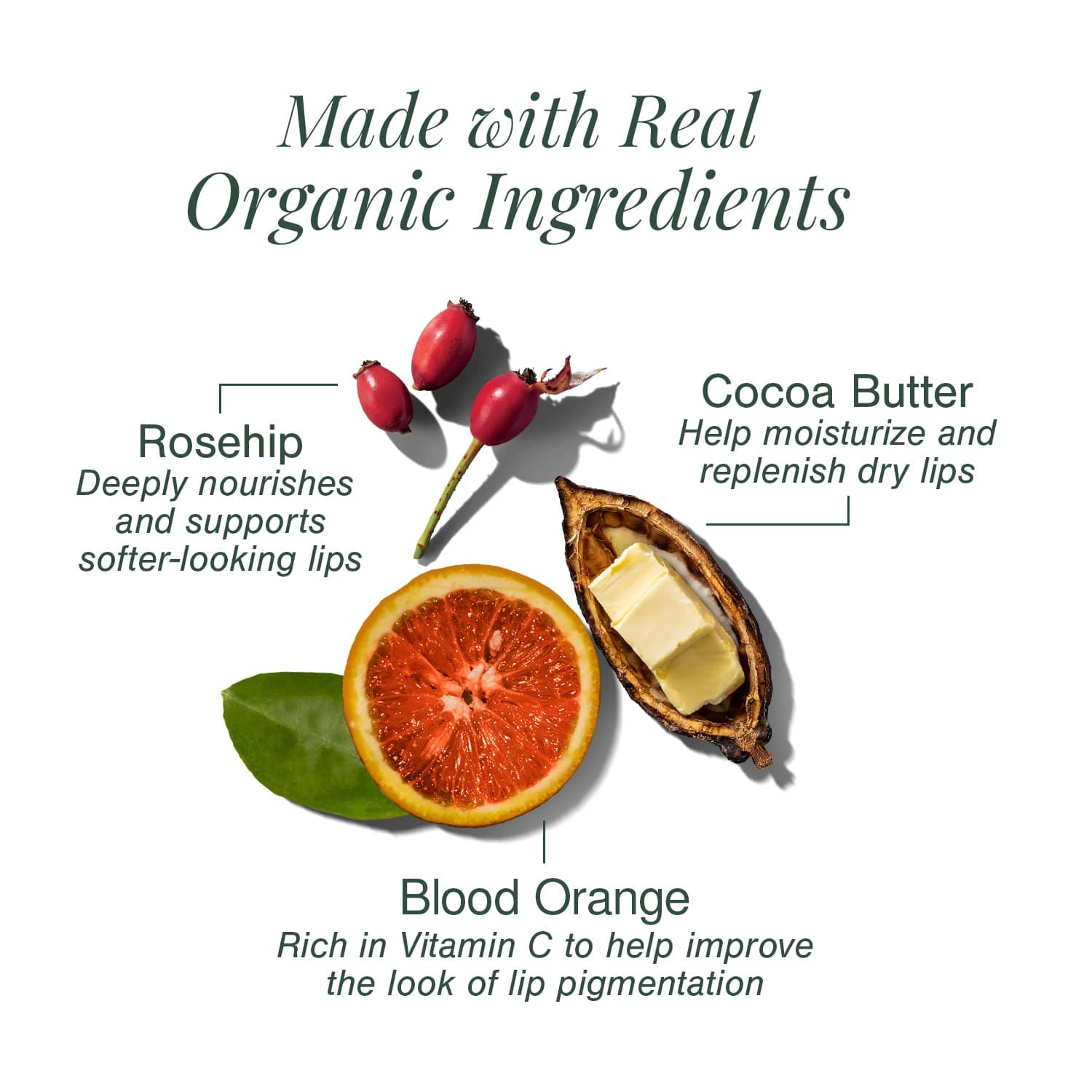 Organic Lip Scrub Fortified with Blood Orange + Rosehip