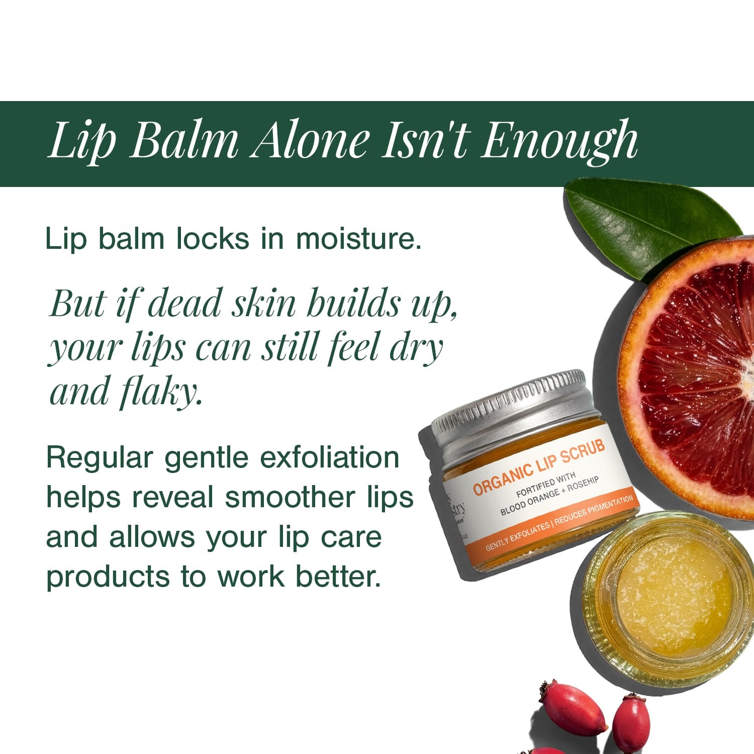 Organic Lip Scrub Fortified with Blood Orange + Rosehip