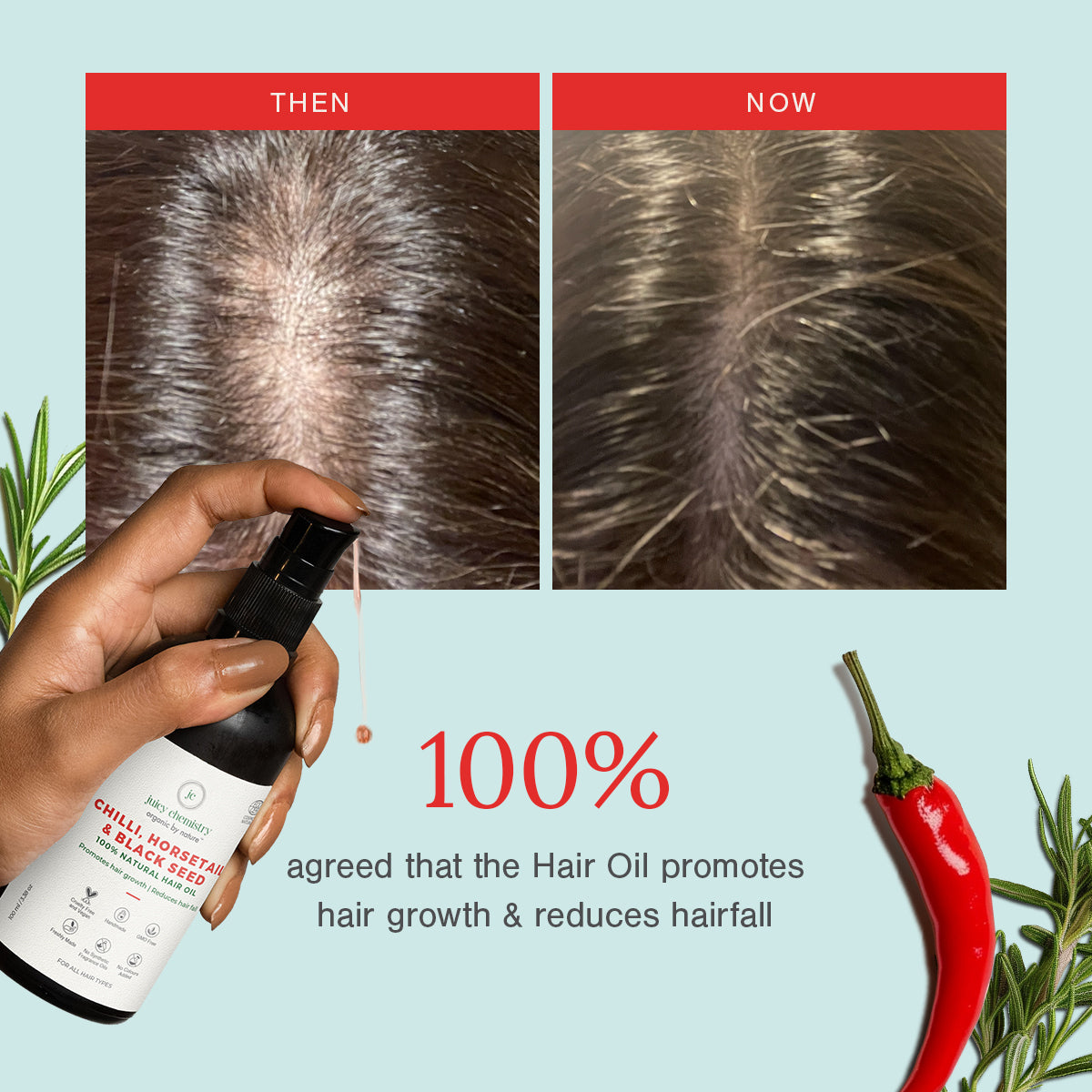 Chilli Horsetail and Black Seed Natural Hair Oil - Product Benefit Image