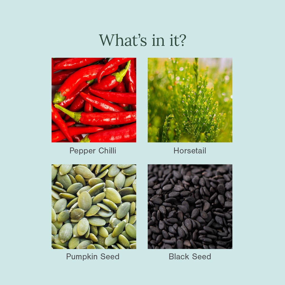 Chilli Horsetail and Black Seed Natural Hair Oil - Product Ingredients Image