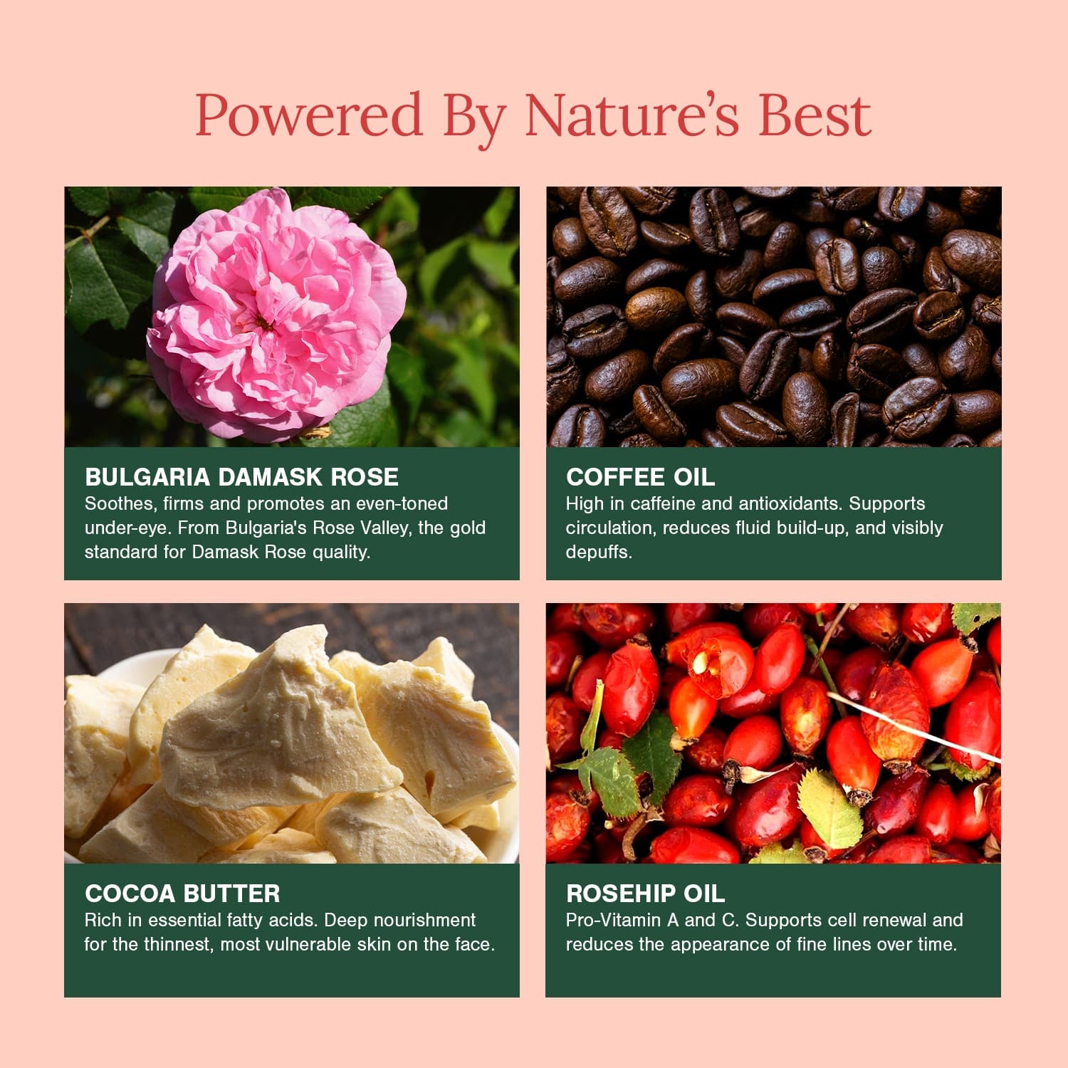 Organic Under Eye Repair Cream Fortified with Damask Rose + Coffee