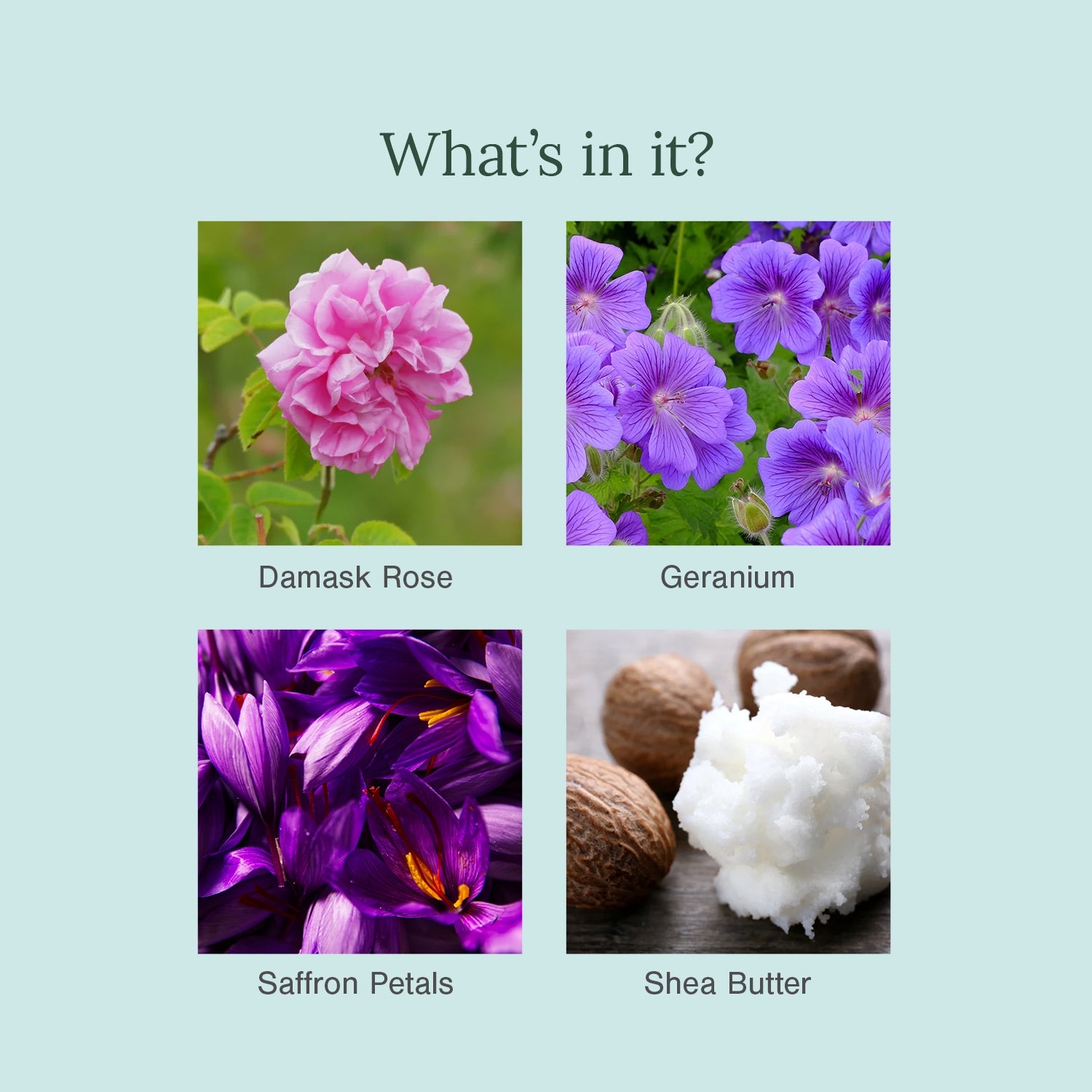 Ultra-Moisturising & Luxurious Organic Soaps