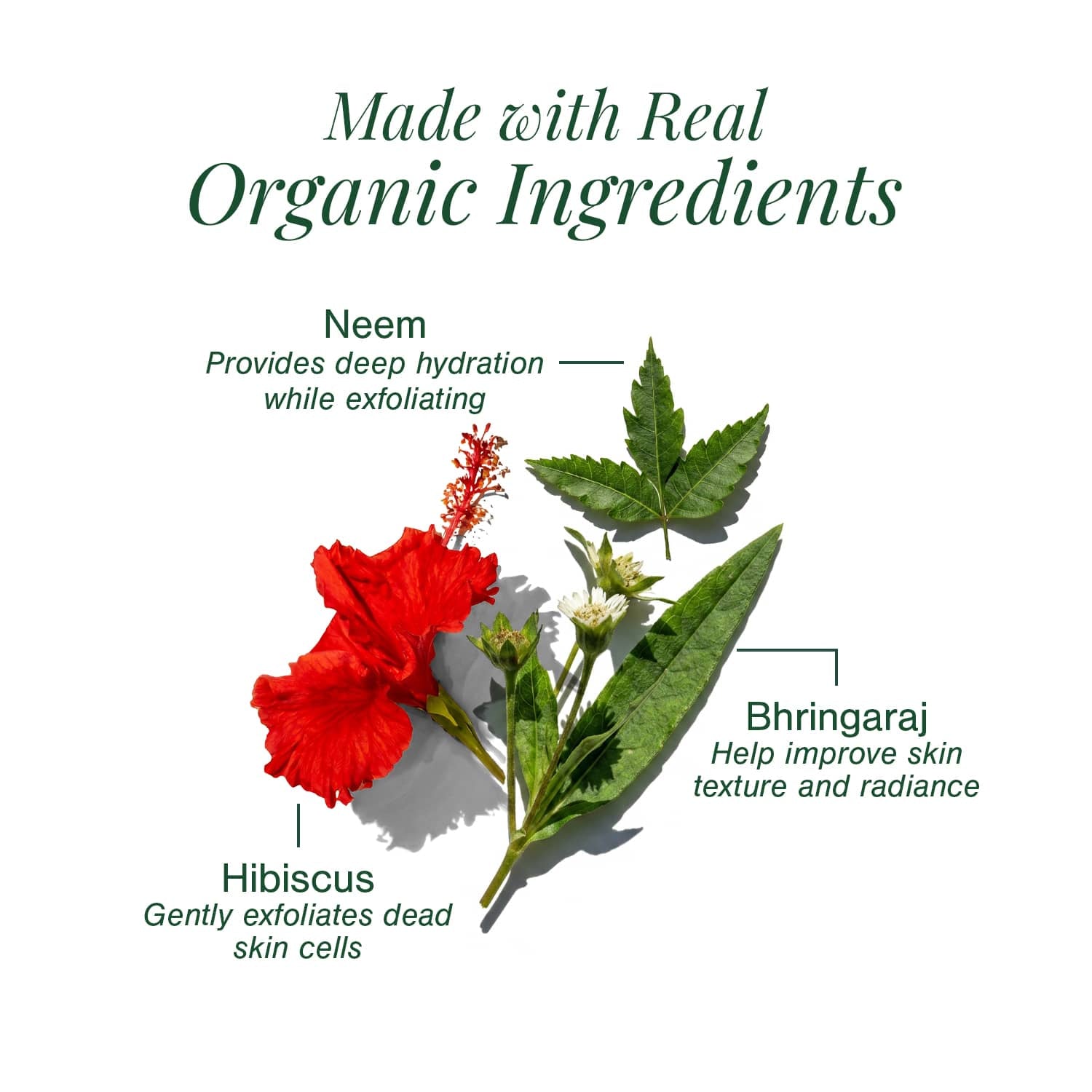 Hair Oil for Premature Greying Fortified with Hibiscus + Bhringaraj