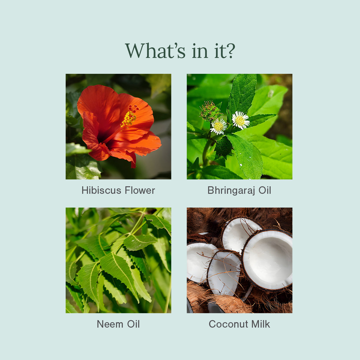 Hibiscus, Amla and Bhringaraj Organic Hair Oil - Product Ingredients