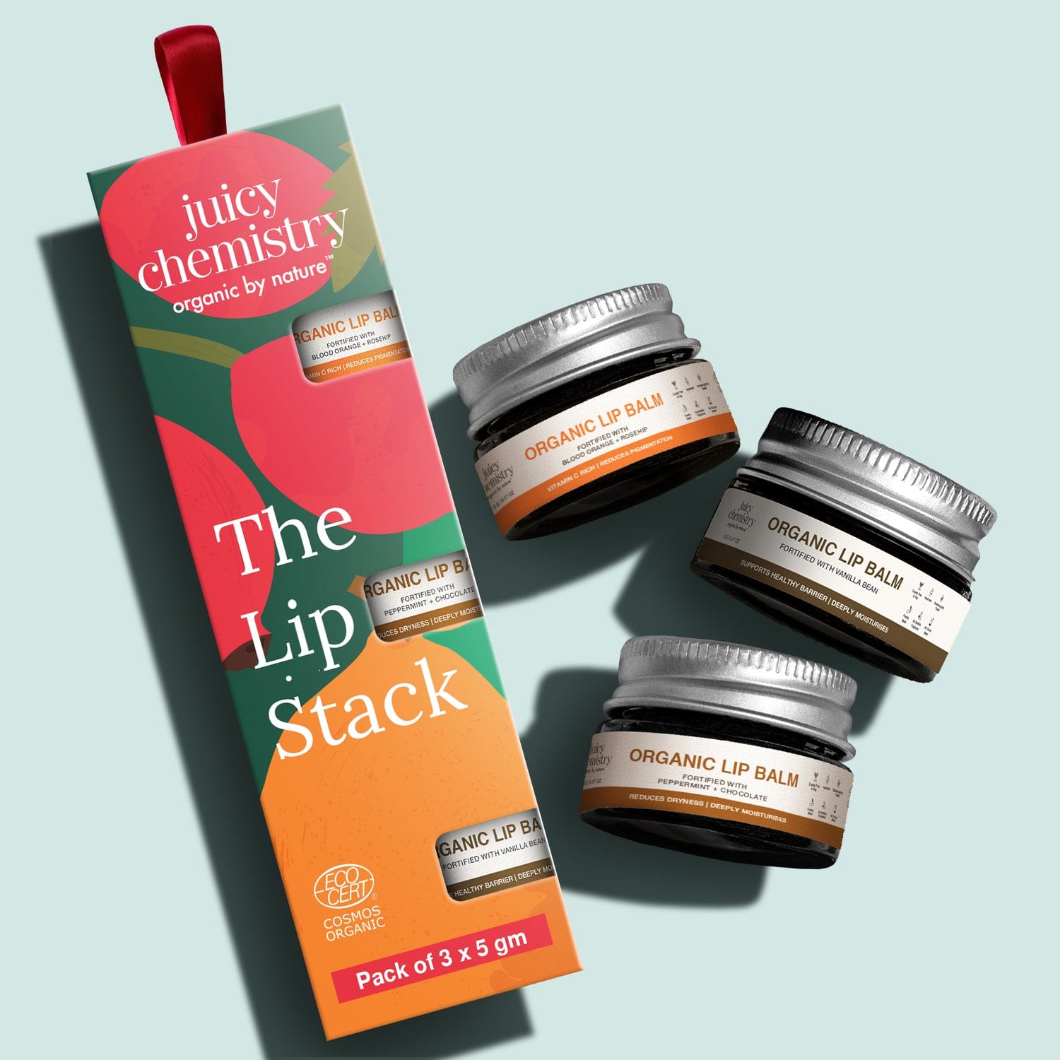 Lips Stack The Lip Stack by Juicy Chemistry | Organic Lip Care Set