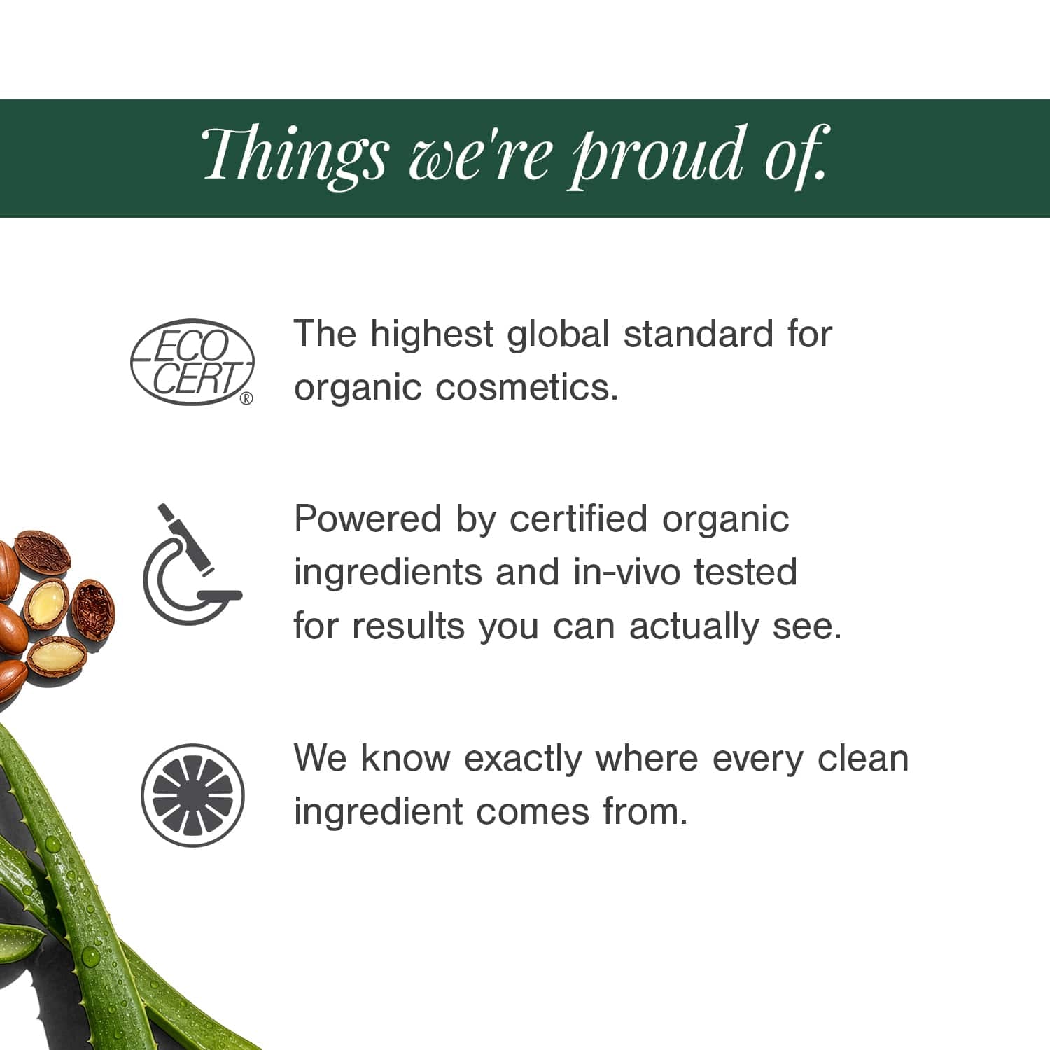 Moisturising Mineral Sunscreen" to "Mineral Sunscreen SPF 40 — Certified Organic