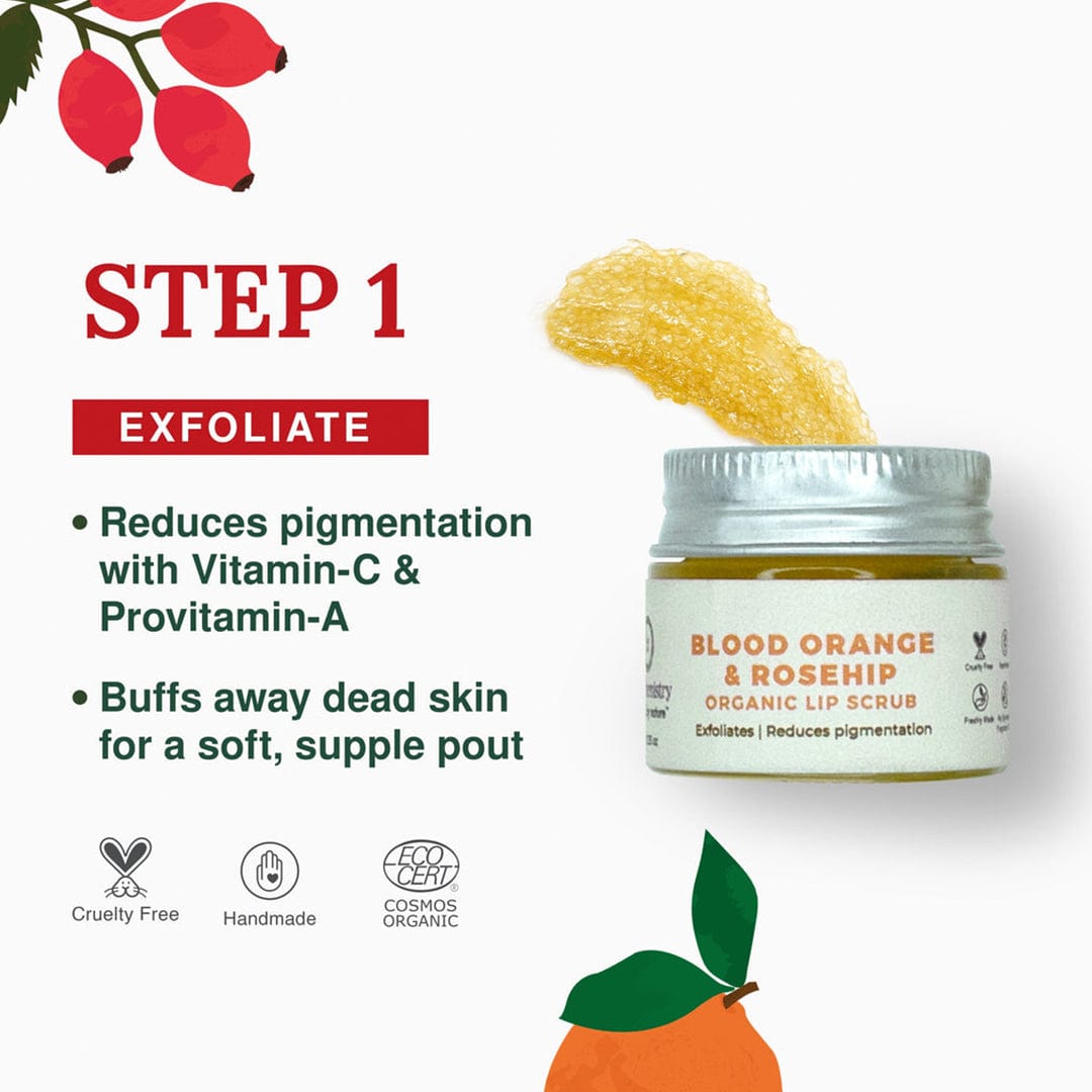 Organic and Naturally Activated Lip Care Kit - Step 1 Exfoliate