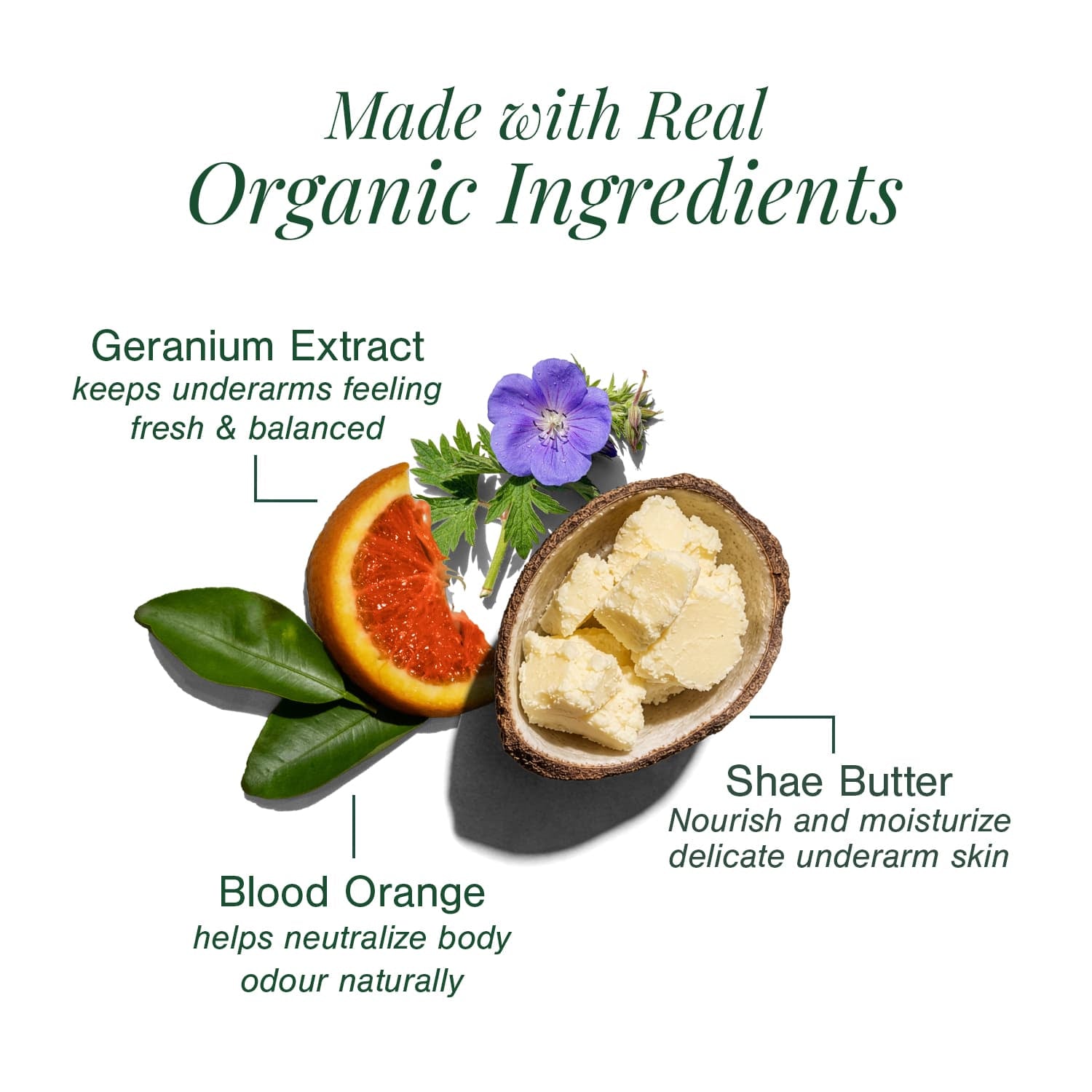 Organic Deodorant Fortified with Blood Orange + Geranium