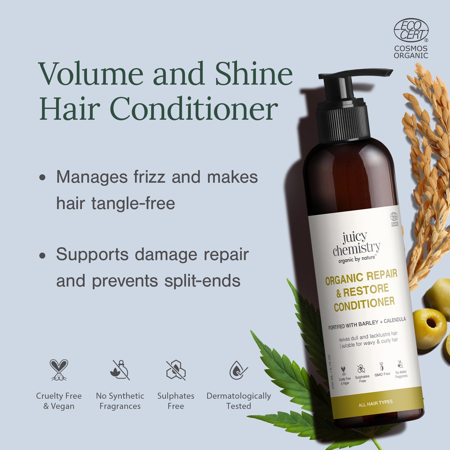 Repair and Restore Conditioner