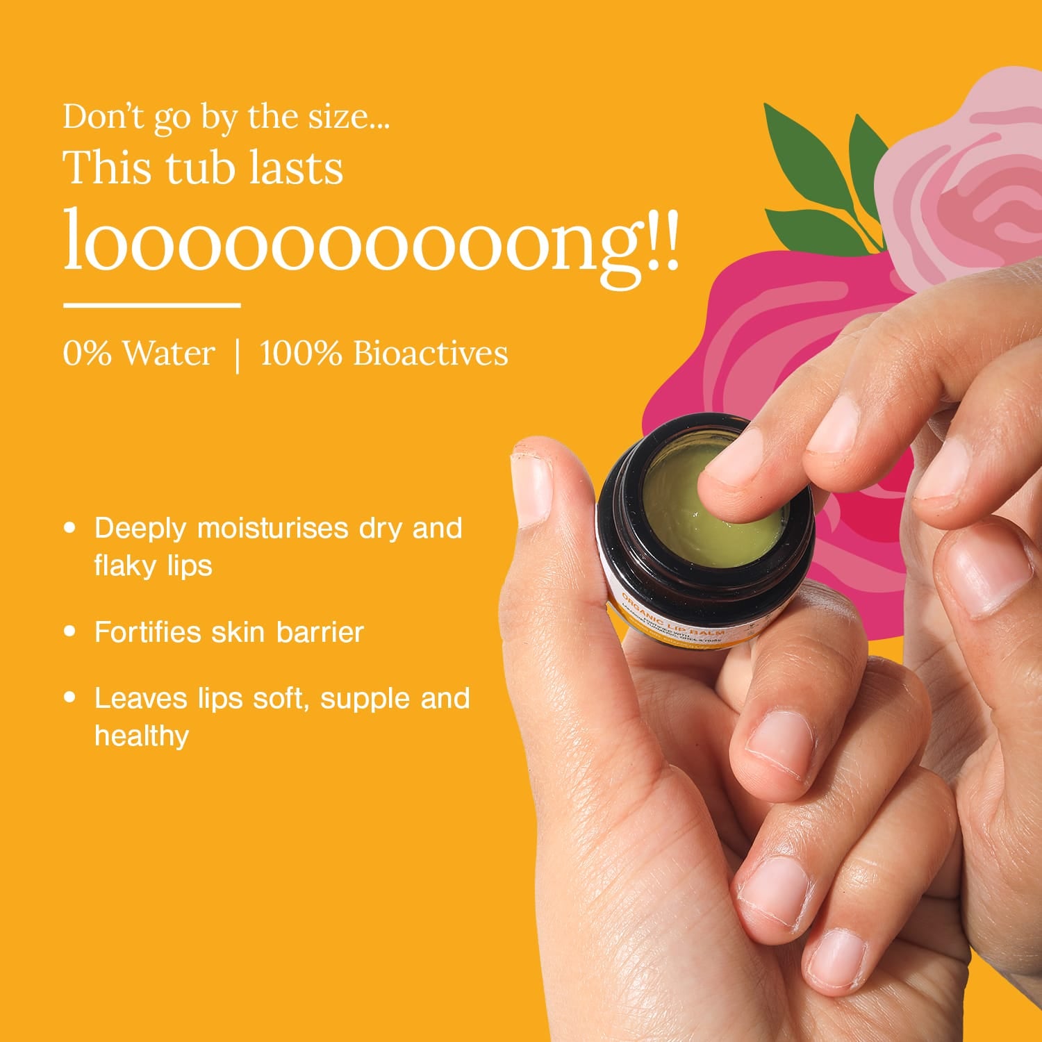 Organic Lip Balm Fortified with Lakadong Turmeric, Ghee & Rose
