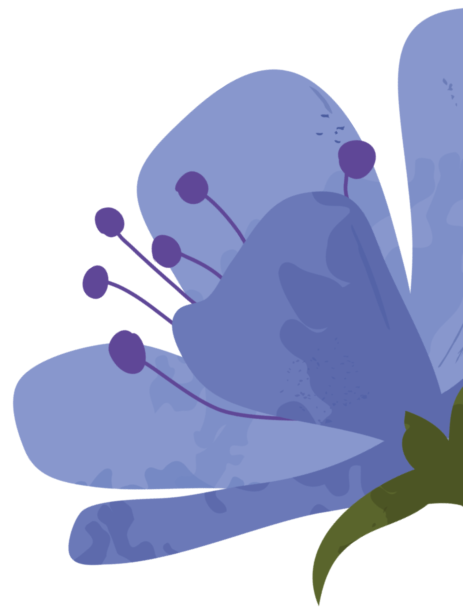 files/element-flower-01.png